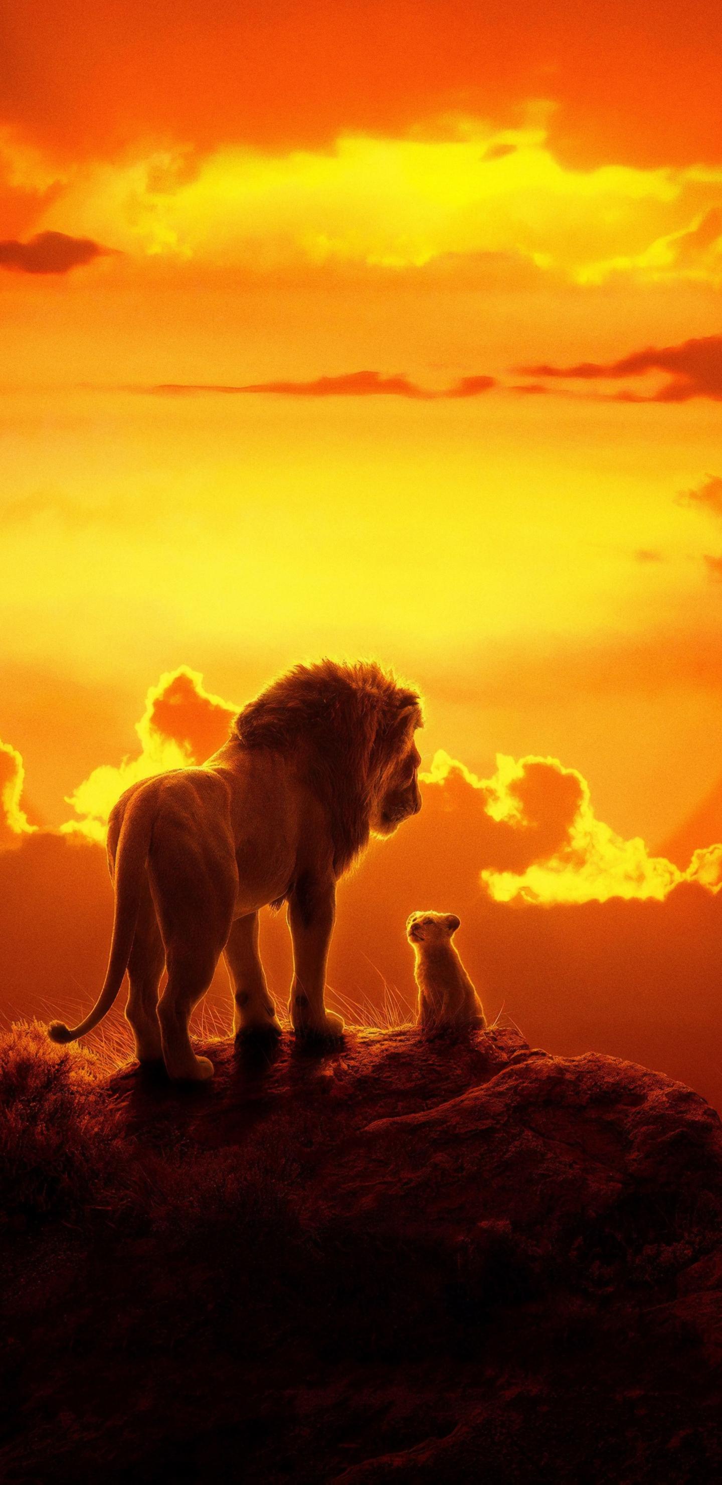 1440x2960 Download 1440x2960 wallpaper the lion king, lion and cub, 2019 movie, samsung galaxy s samsung galaxy s8 plus, 1440x2960 HD image, background, 19800