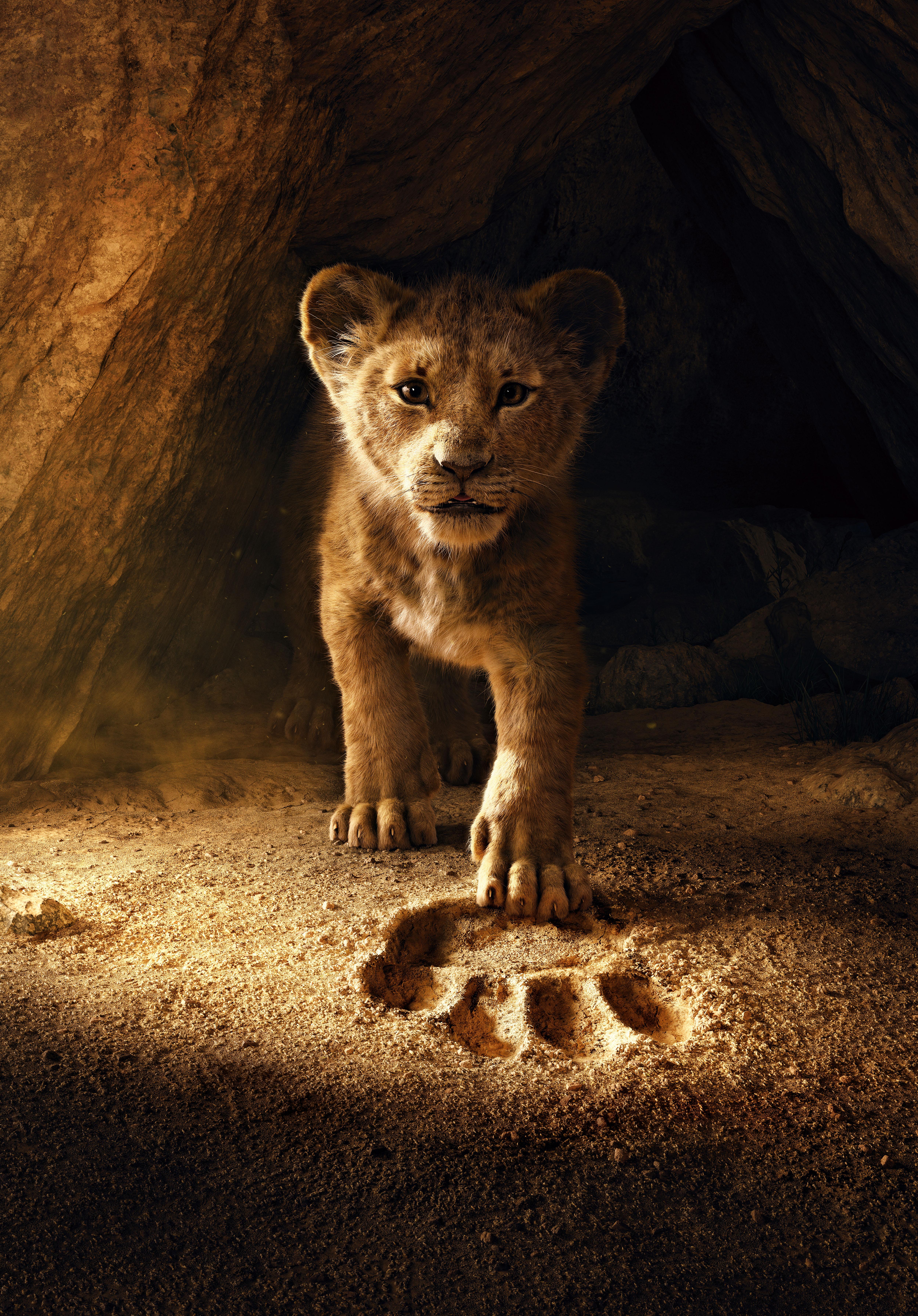 5000x7167 The Lion King Wallpaper 4K, Simba, Lion cub, 5K, Movies