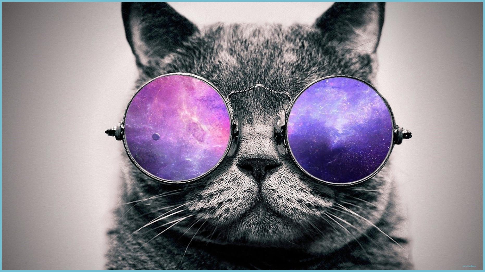 1862x1047 Free Download 8 Cool Cat Wallpaper On WallpaperPlay 8x8 Cat Wallpaper