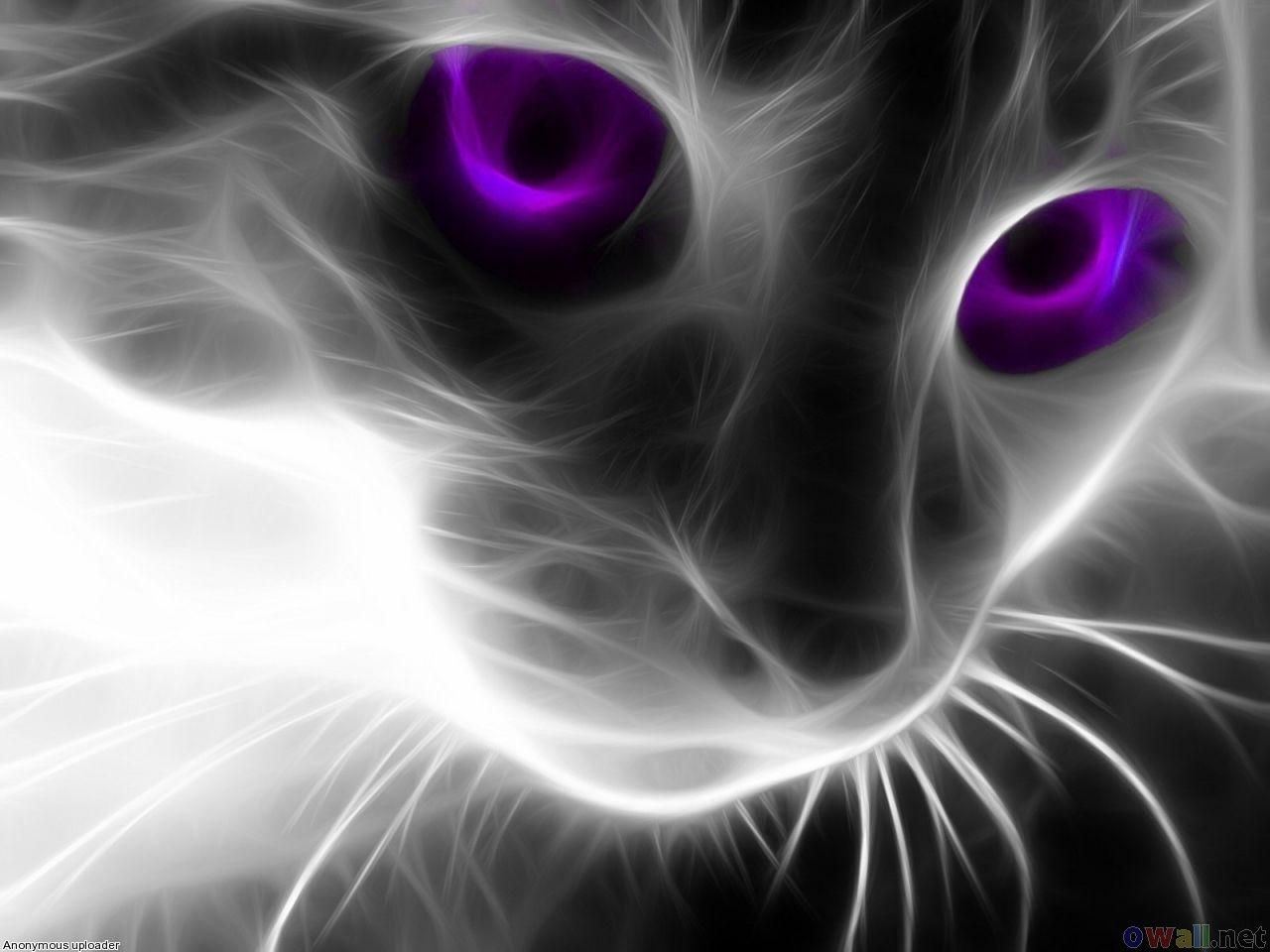 1280x960 Cat Eyes Blue Animals Background. All Wallpaper, Desktop Wallpaper. Cat with blue eyes, Cat wallpaper, Wild cats