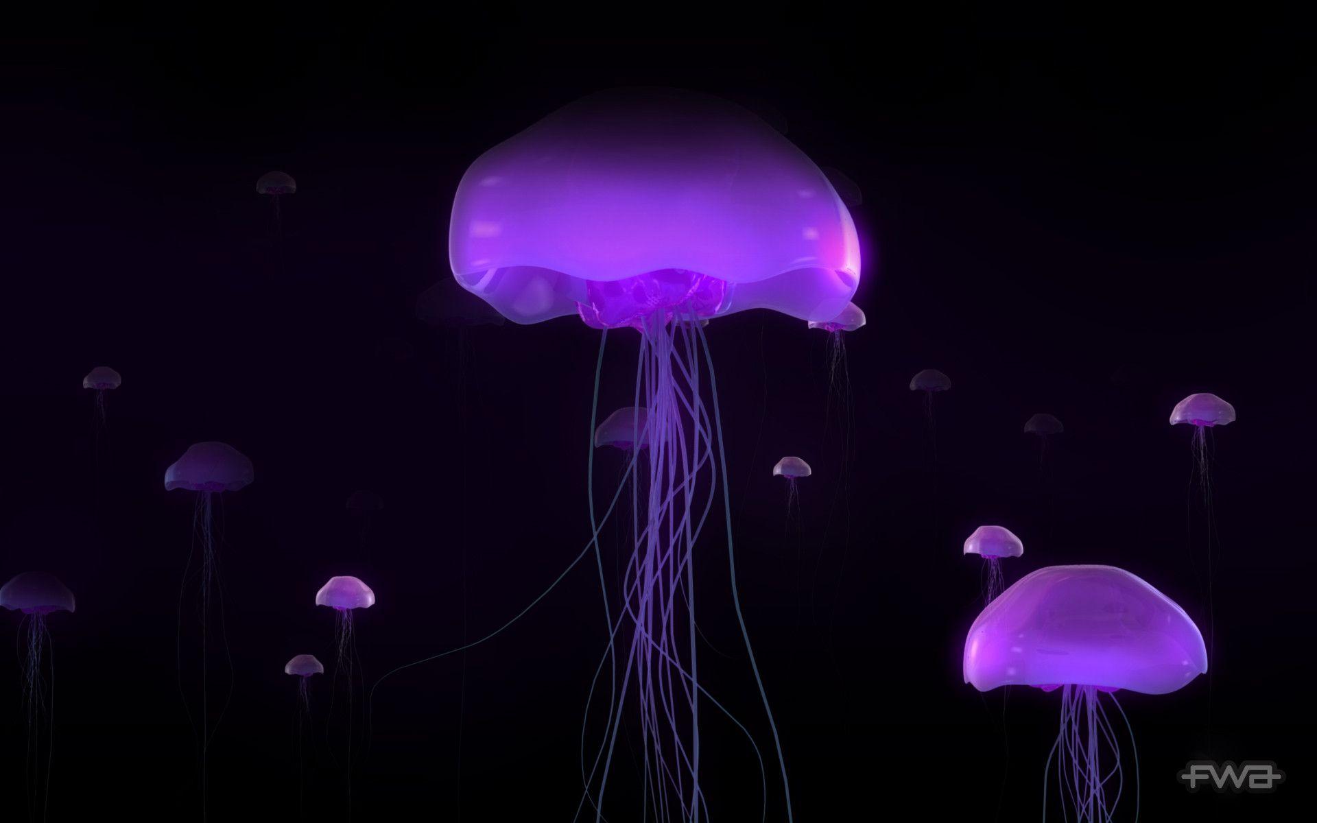 1920x1200 Purple Desktop Wallpaper