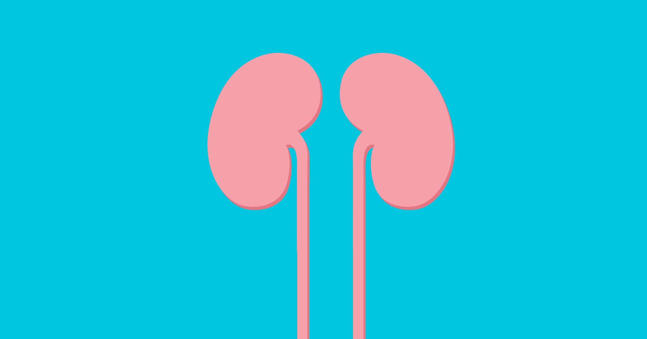 Nephrology Wallpapers - Top Free Nephrology Backgrounds - WallpaperAccess