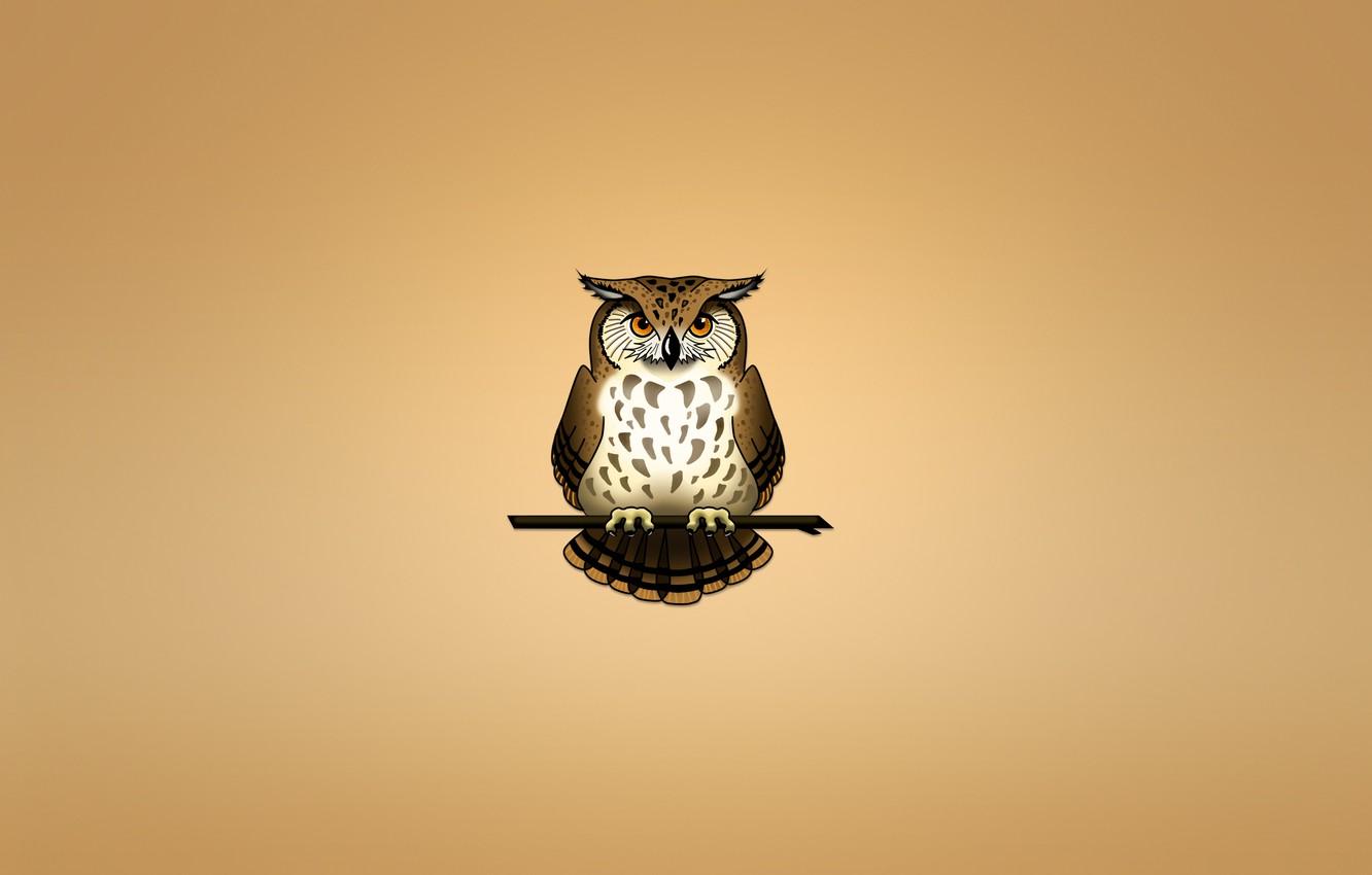1332x850 Wallpaper owl, bird, branch, light background, owl image for desktop, section минимализм