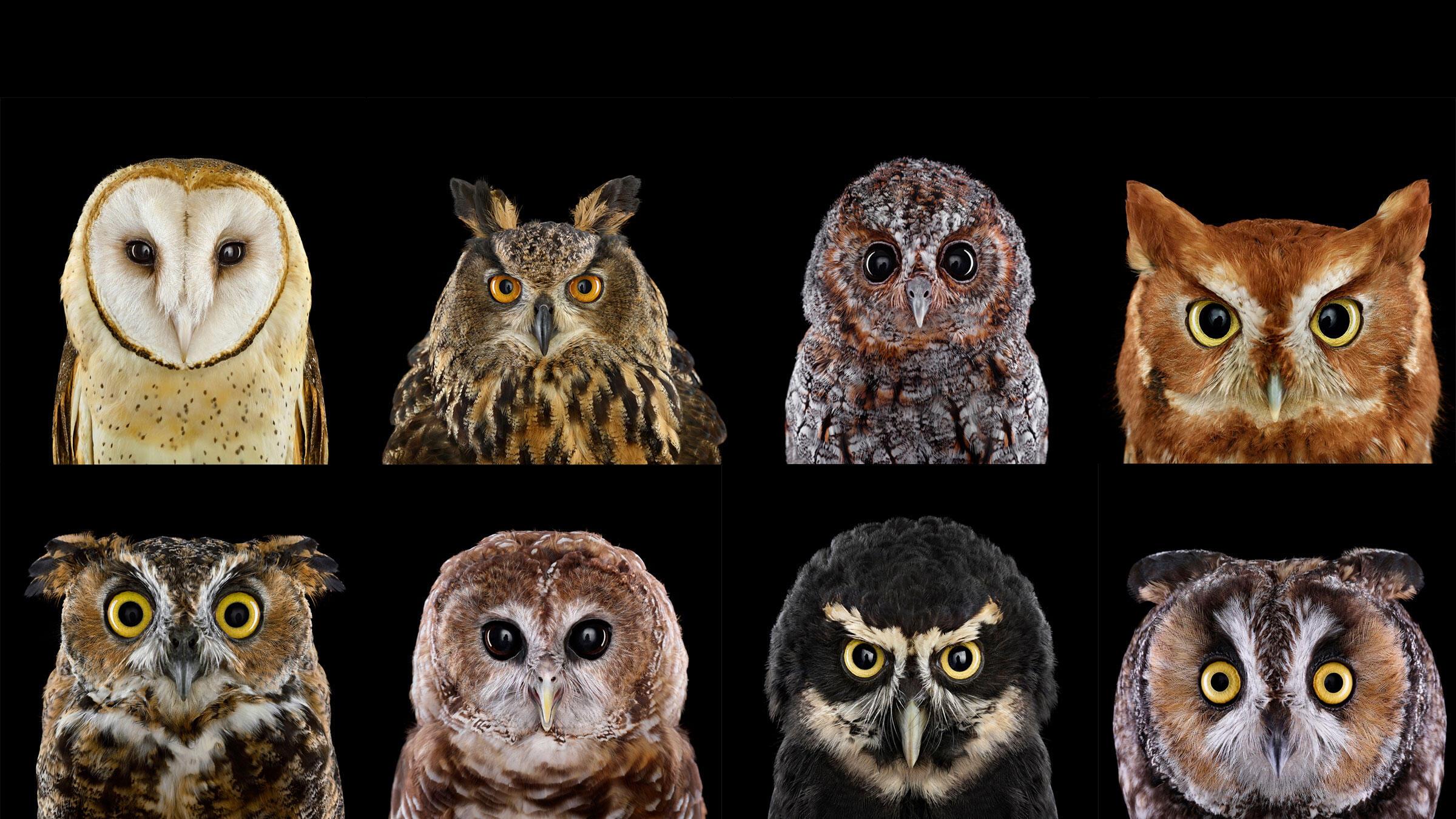 2400x1350 Who's Who