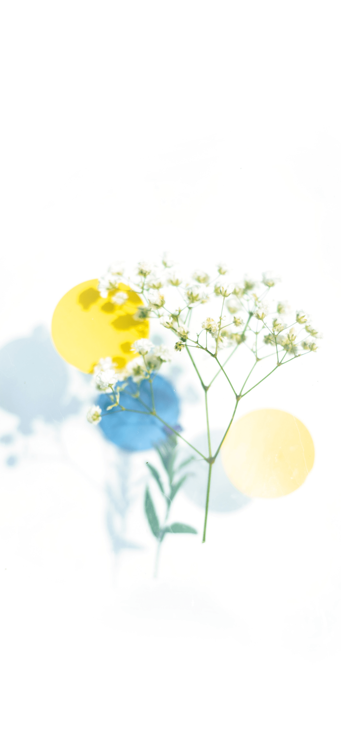 1170x2532 Flat Art Wallpaper for iPhone & iPad