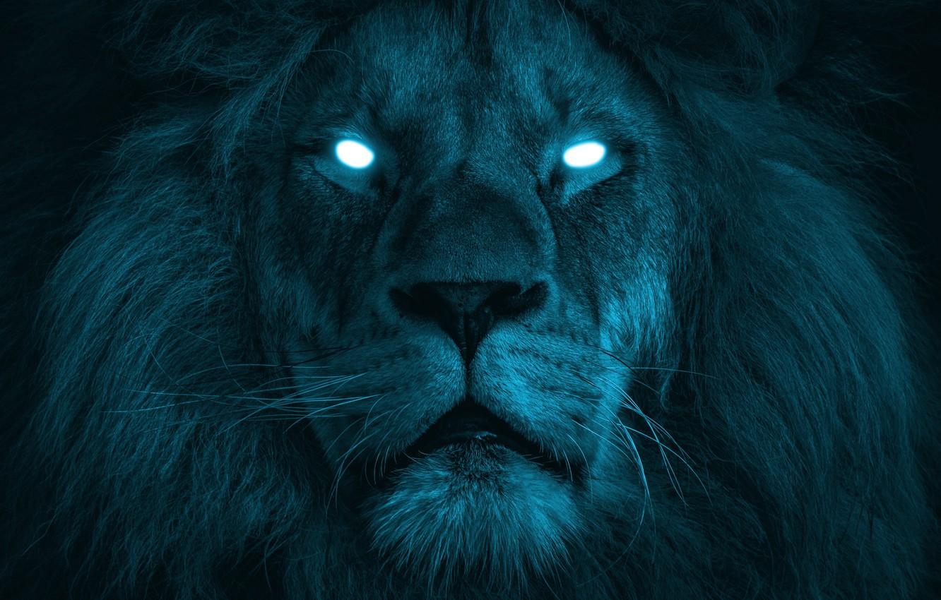 1332x850 Wallpaper eyes, look, face, light, the dark background, rendering, fiction, color, portrait, Leo, art, mane, white, turquoise, photoart, glowing eyes image for desktop, section фантастика