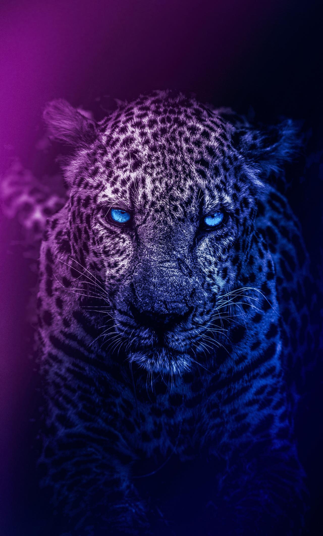 1280x2120 Lion Blue Eyes iPhone HD 4k Wallpaper, Image, Background, Photo and Picture