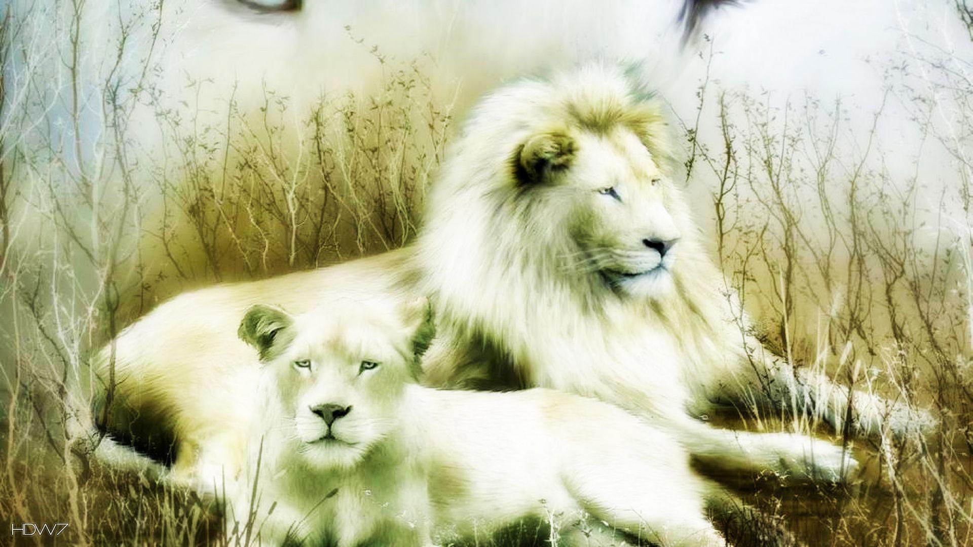 1920x1080 white lion blue eyes. HD wallpaper gallery
