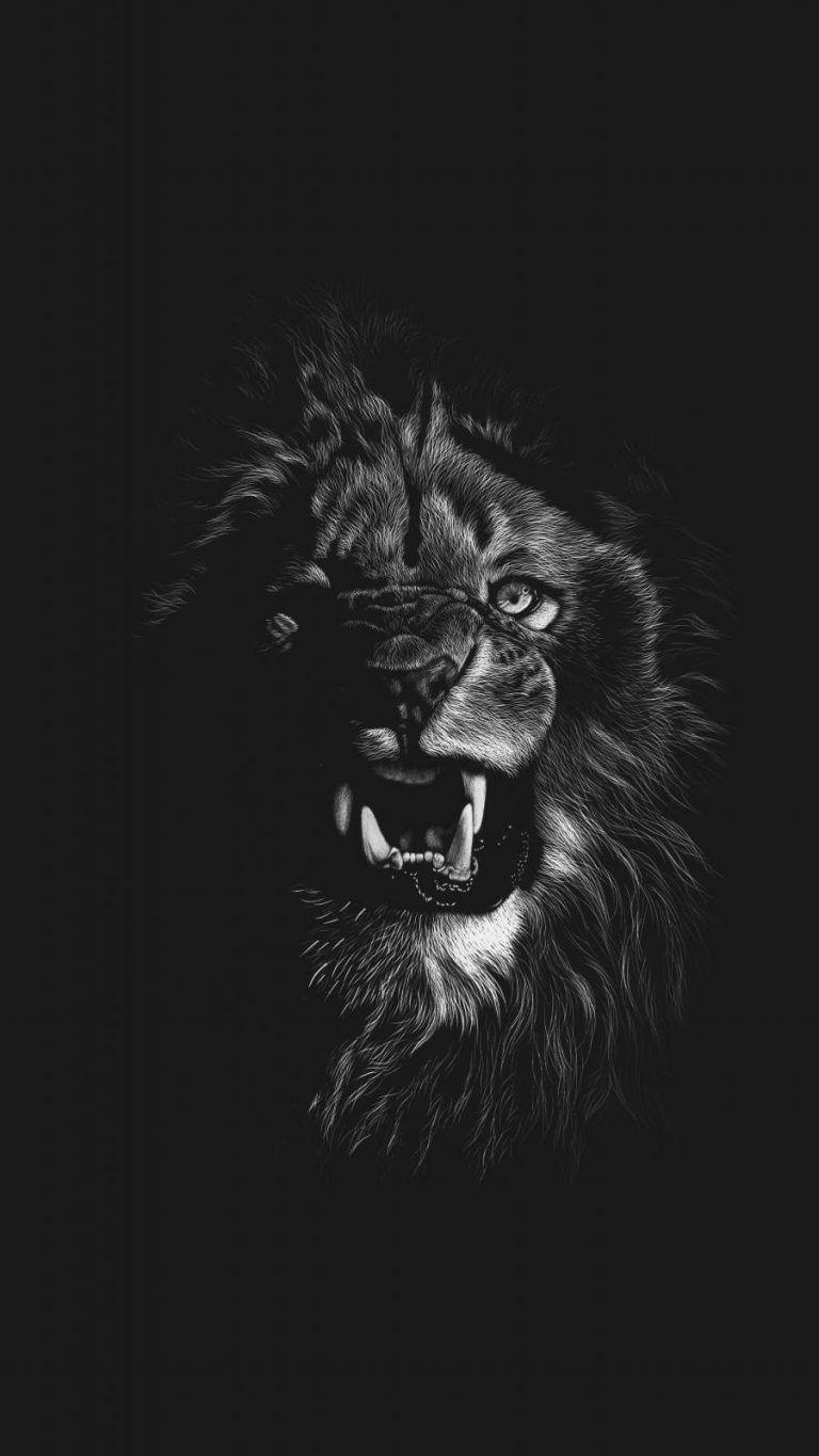 768x1365 Black Lion iPhone Wallpaper