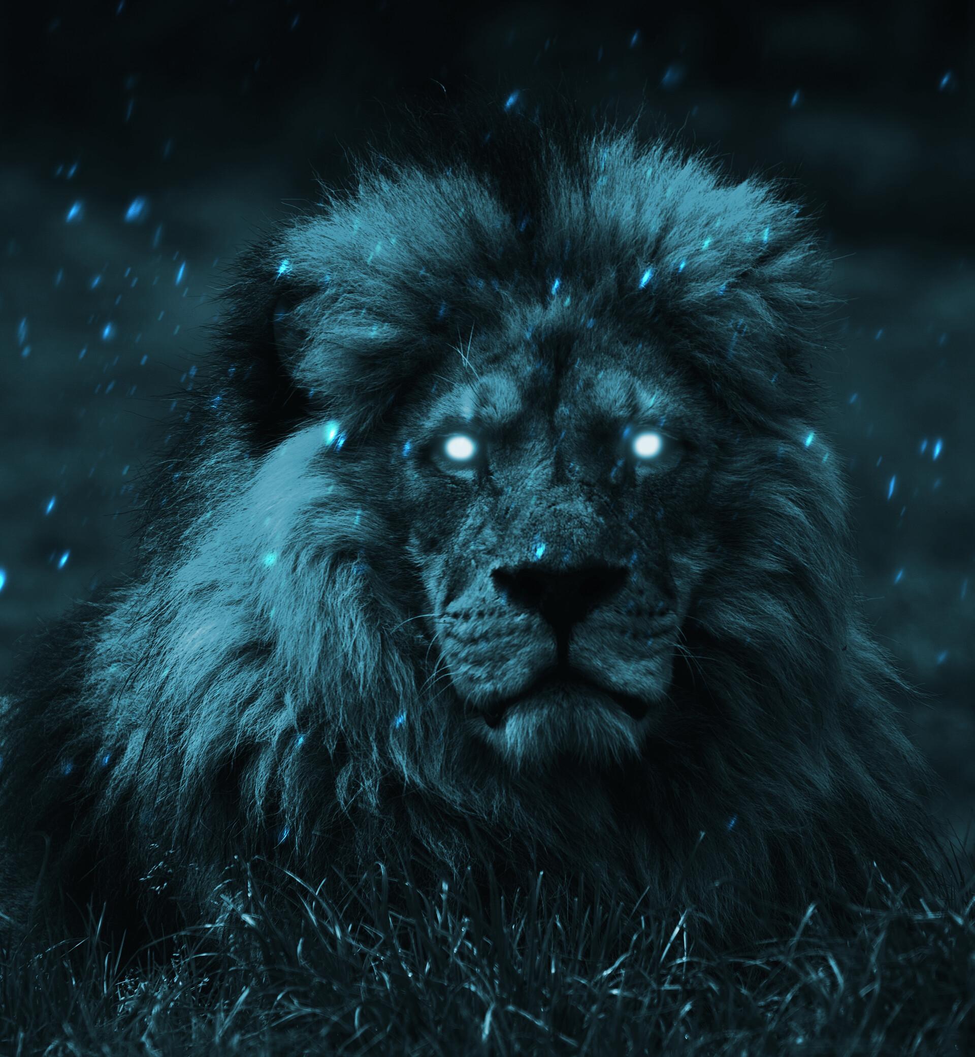 Lion Blue Eyes Wallpapers - Top Free Lion Blue Eyes Backgrounds ...