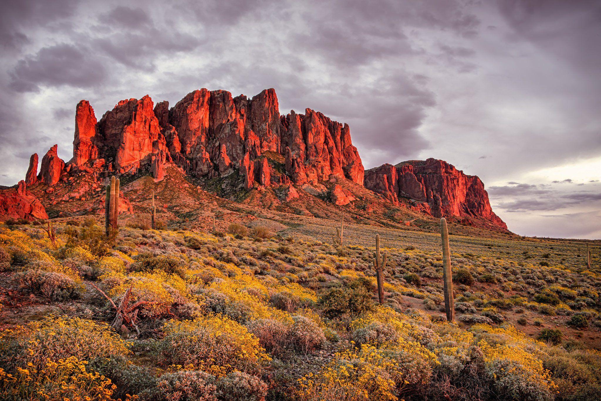 2048x1367 v.74: Arizona Desert Desktop Wallpaper (2048x1367)