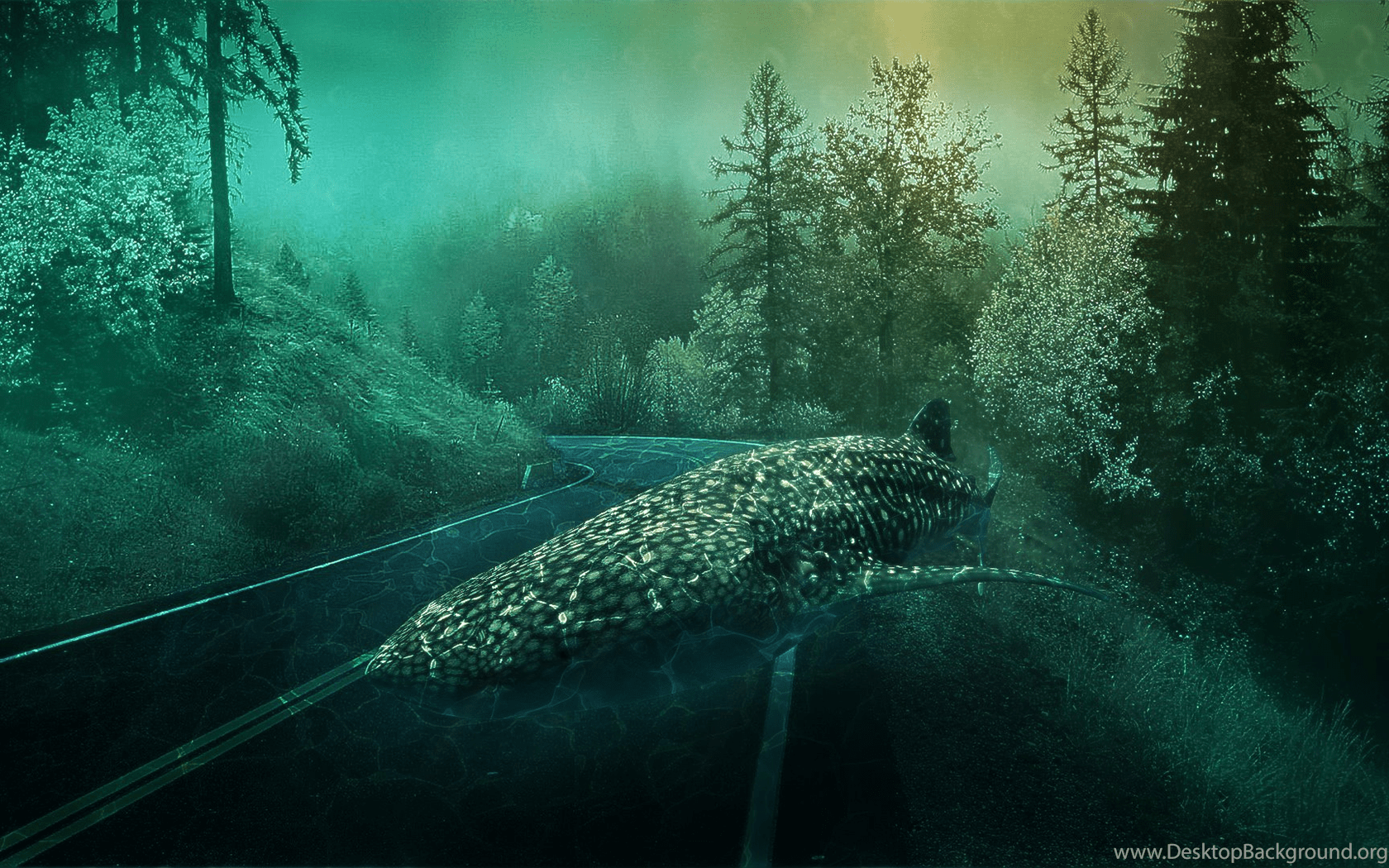 1680x1050 Create A Surreal Underwater Background In Photohop Photohop. Desktop Background