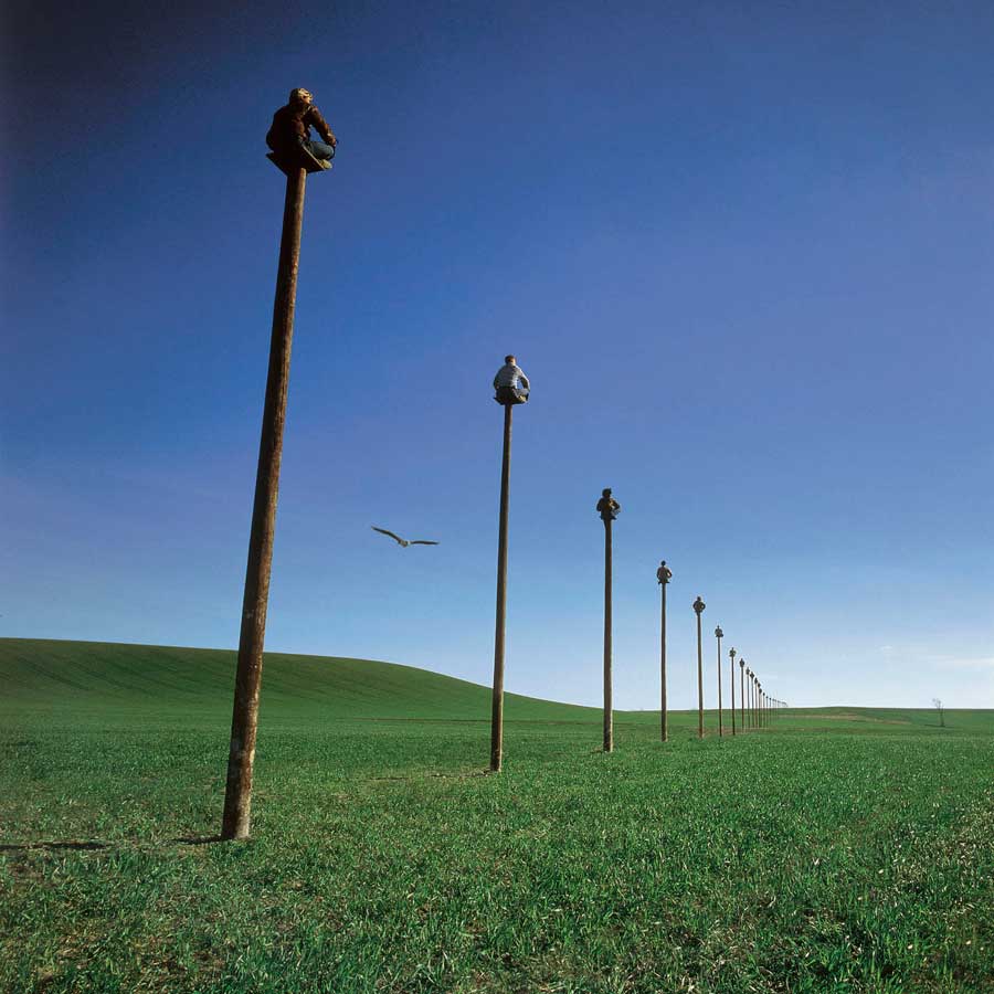 900x900 Storm Thorgerson