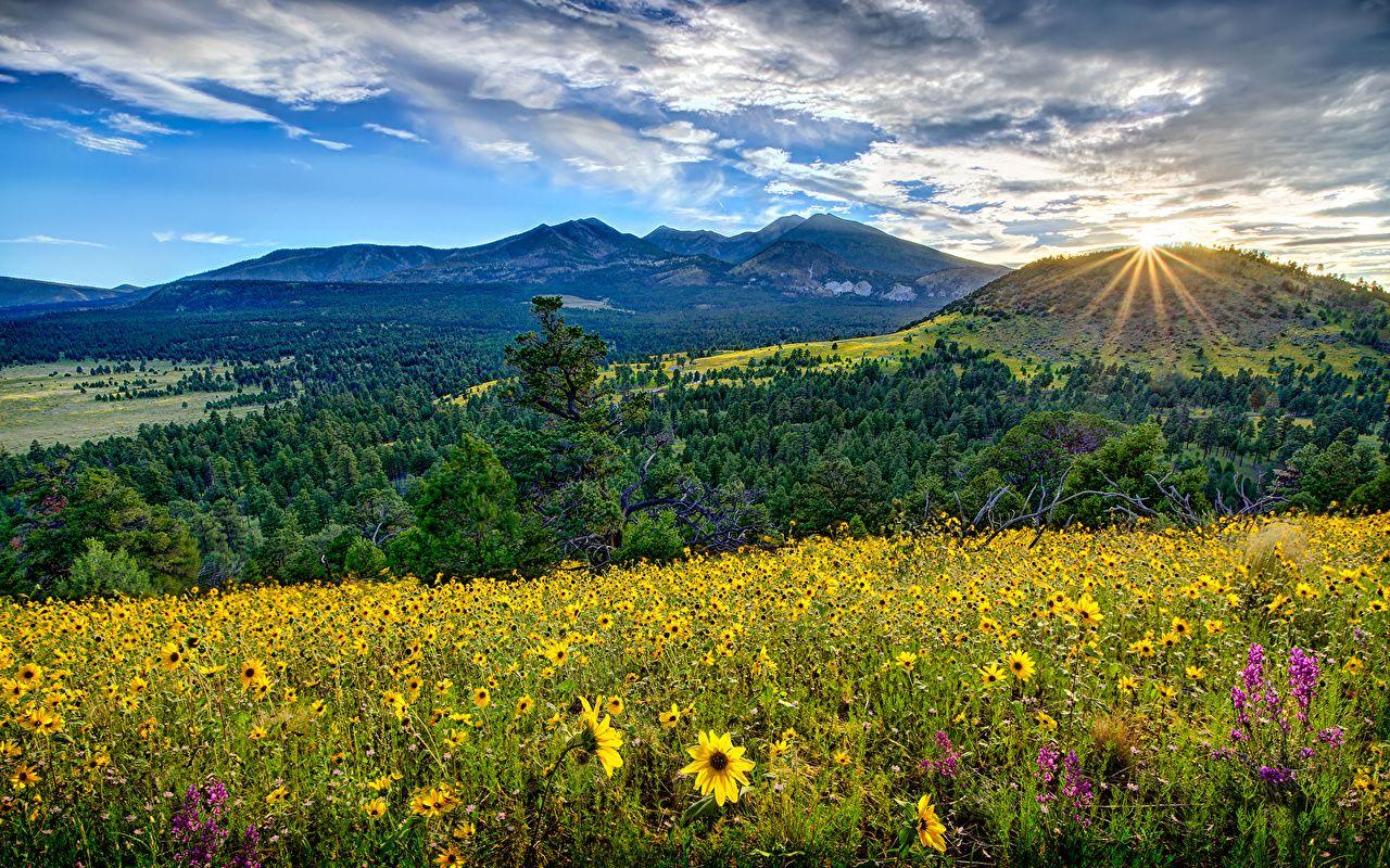 1280x800 Wallpaper Rays of light USA Flagstaff Arizona Nature Mountains
