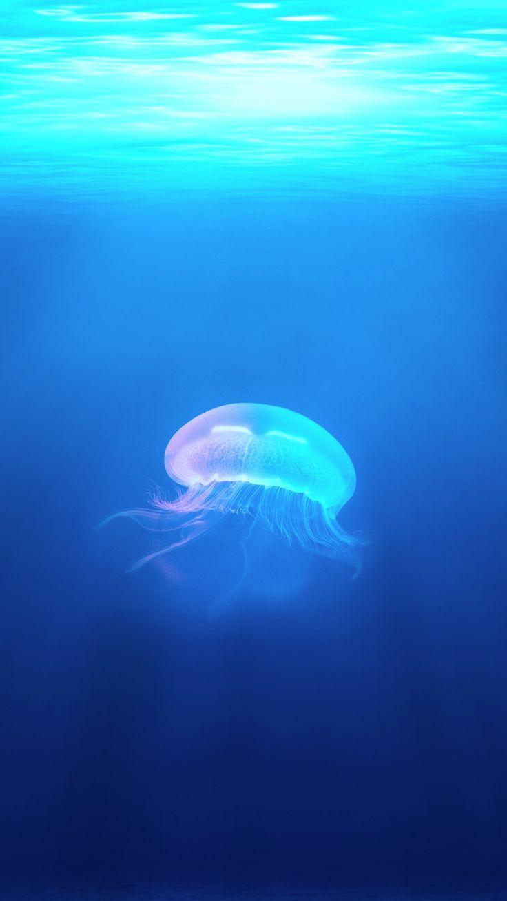 736x1308 Ocean Jellyfish Surreal Light iPhone 6 Wallpaper Download. iPhone Wallpaper, iPad wallpaper One-. Ocean wallpaper, Jellyfish illustration, Underwater wallpaper