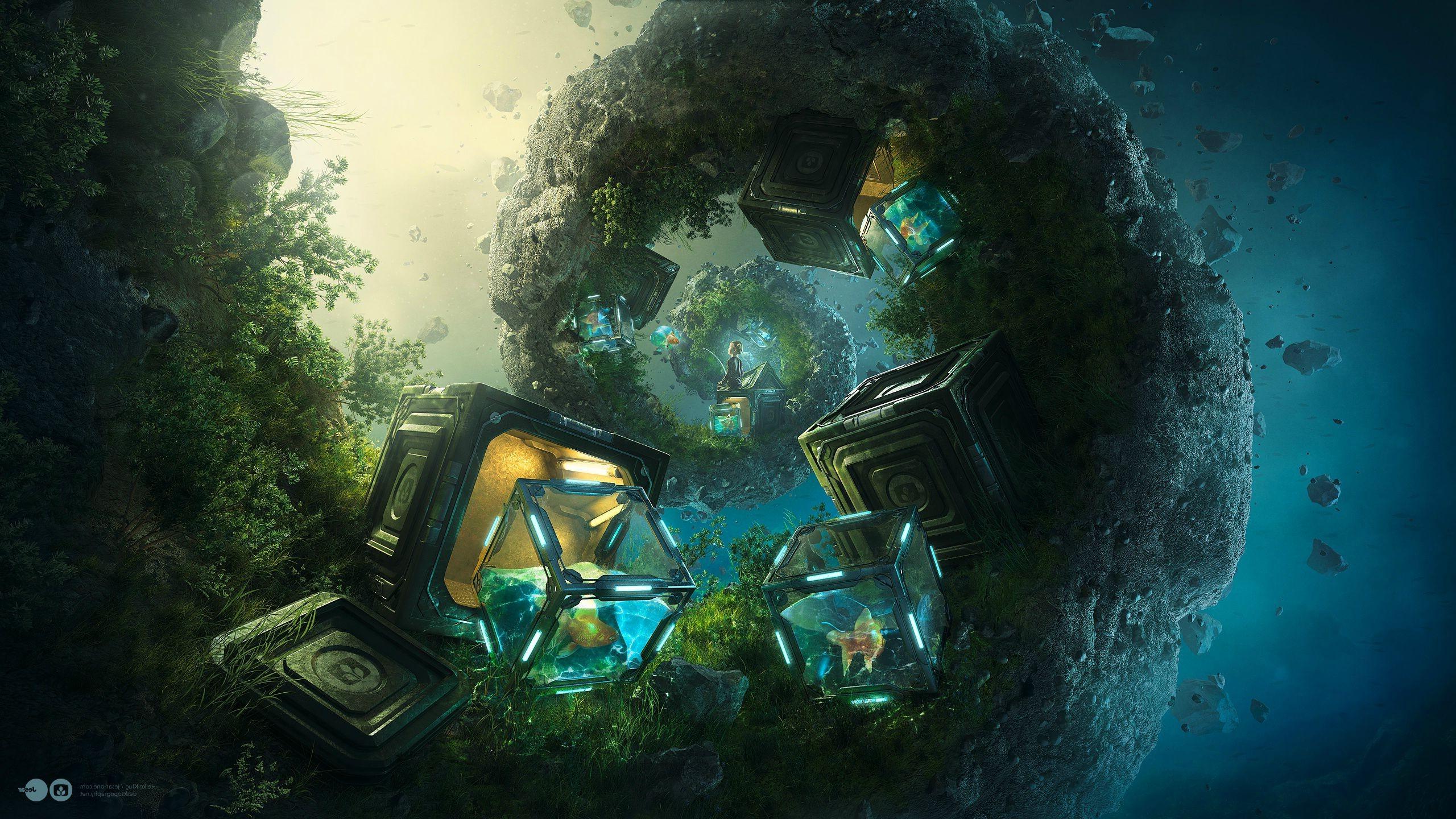 2560x1440 underwater wallpaper 93