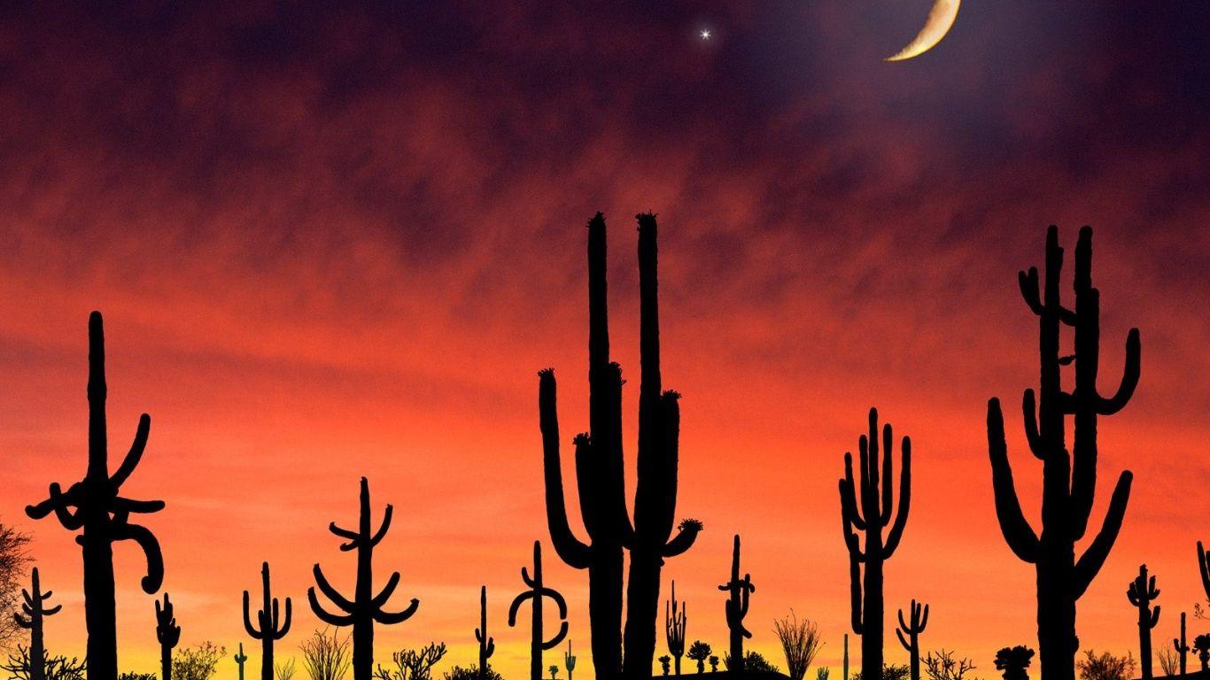 1366x768 Arizona desktop PC and Mac wallpaper
