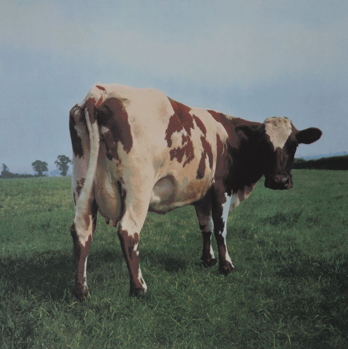 1400x1401 Storm Thorgerson, Atom Heart Mother