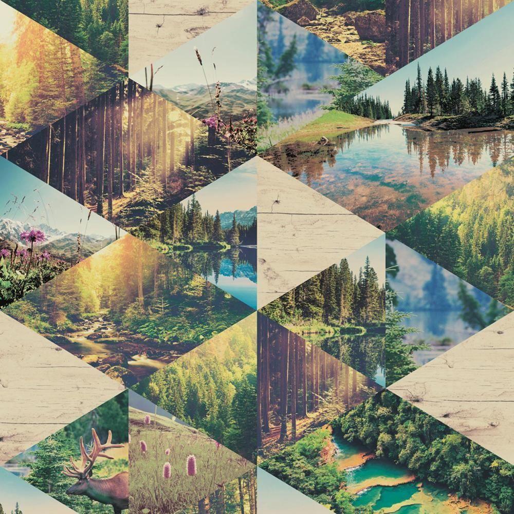 Nature Collage Wallpapers - Free Nature Backgrounds - WallpaperAccess