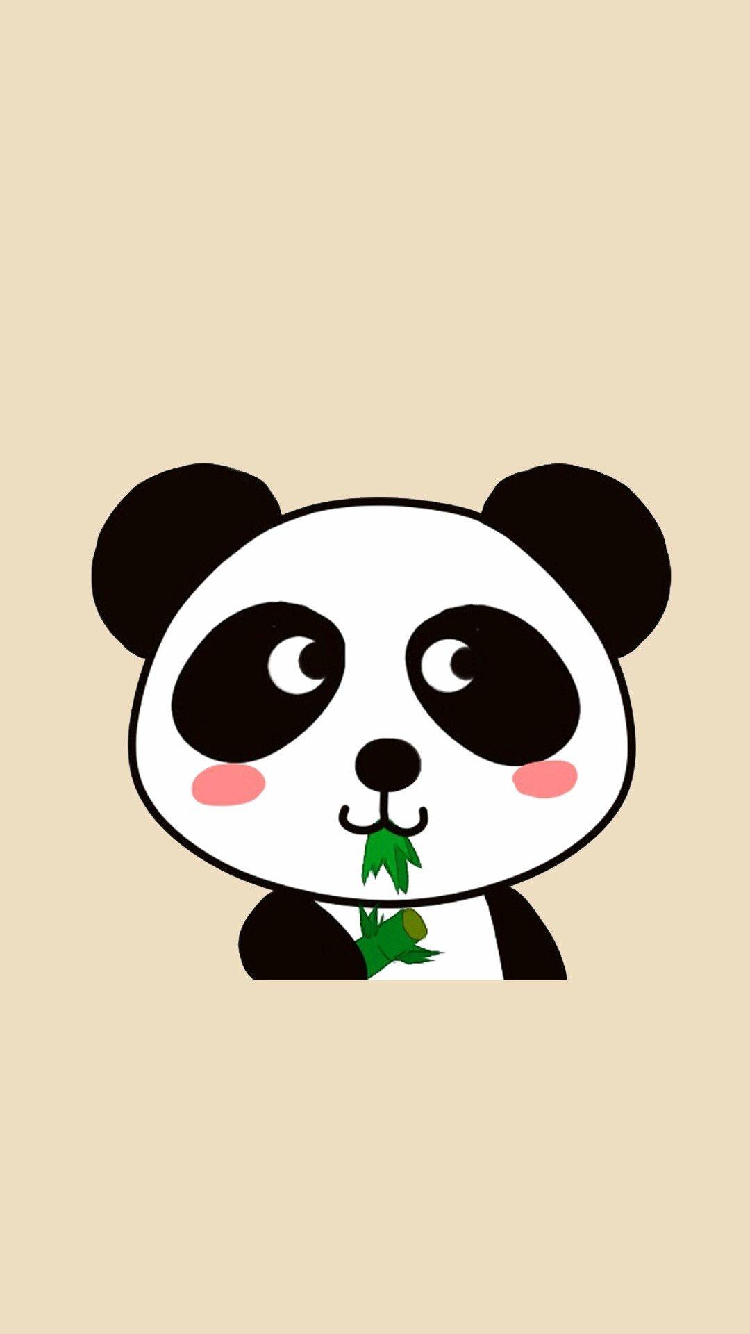Cool Panda  Wallpapers  Top Free Cool Panda  Backgrounds  