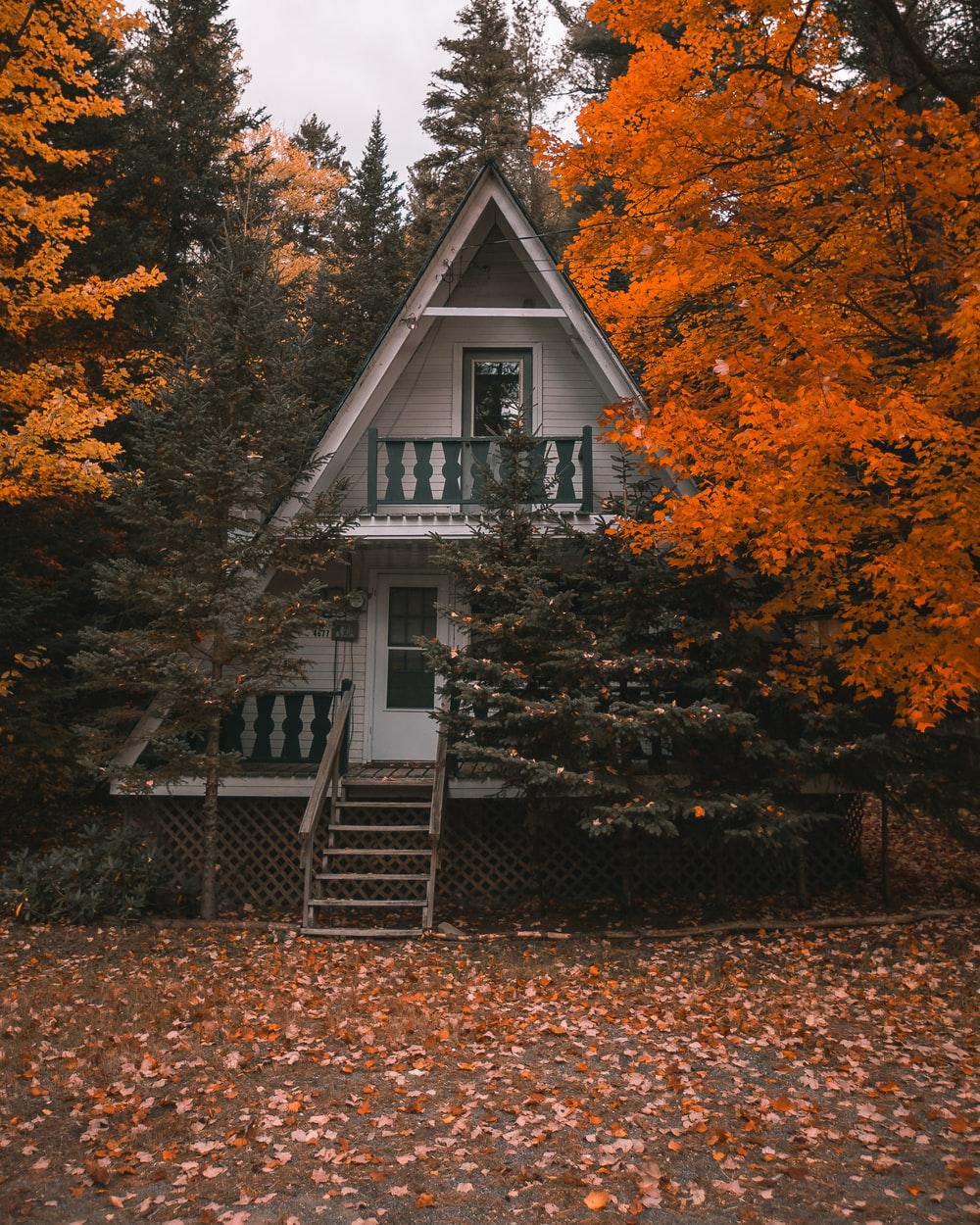 1000x1250 Cozy Cabin Picture. Download Free Image