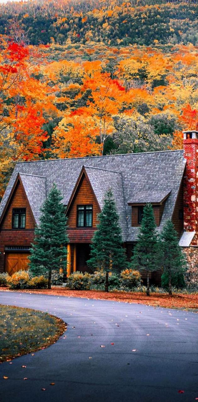 630x1280 Mountain cabin wallpaper