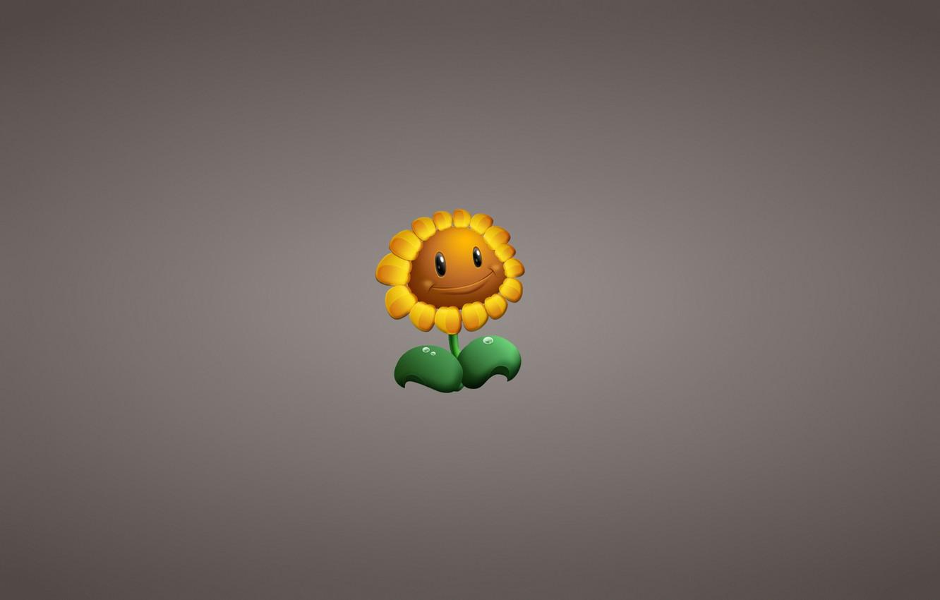 1332x850 Photo Wallpaper Flower, Plant, Sunflower, Minimalism, Vs Zombies Sunflower