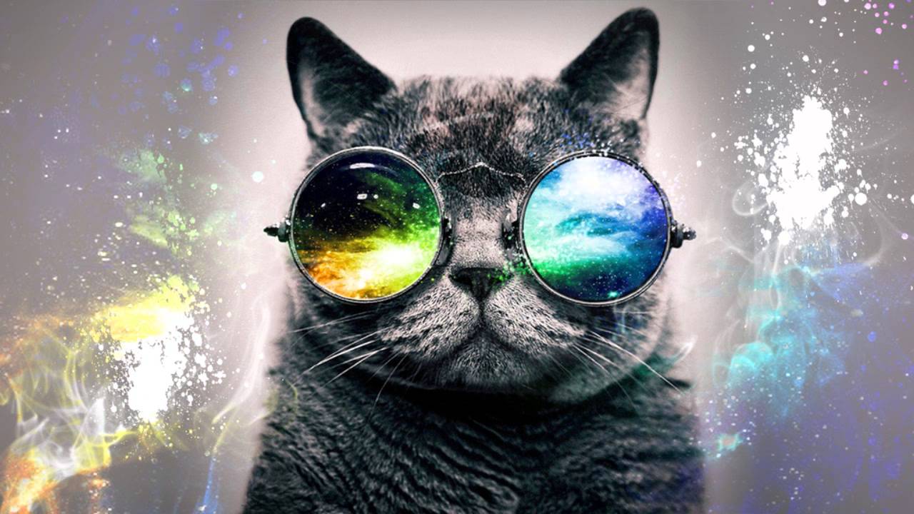 1280x720 Galaxy Cat Desktop Wallpaper