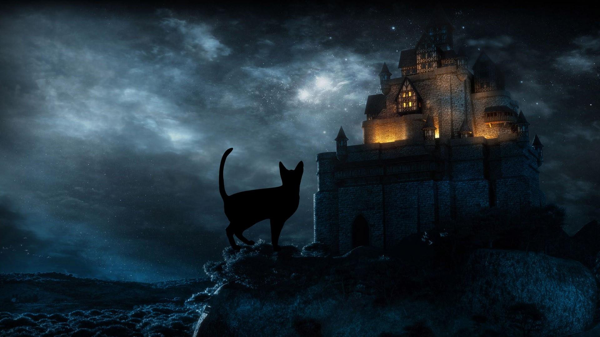 1920x1080 Halloween Black Cat HD Desktop Wallpaper 34269