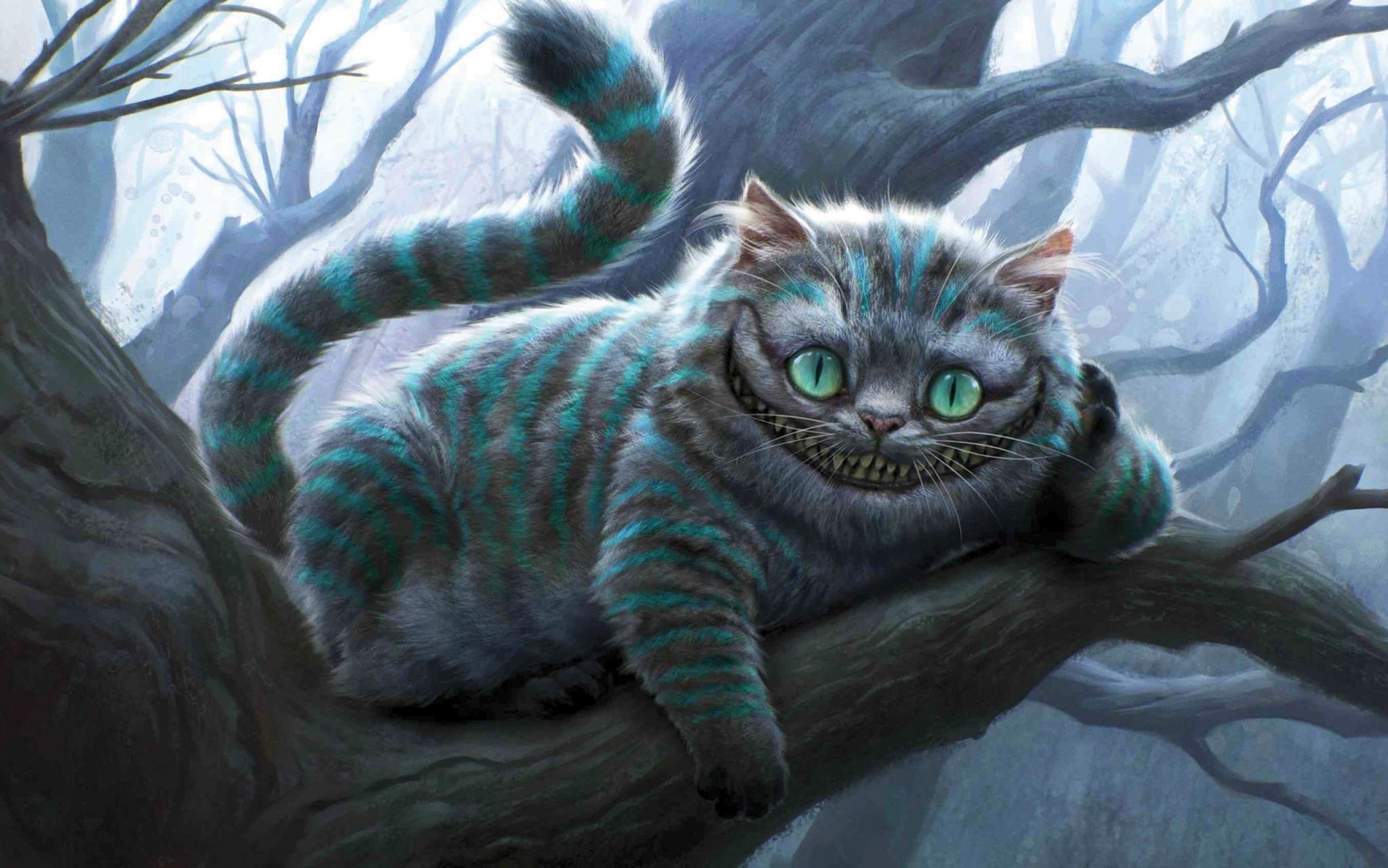 2048x1280 cheshire cat HD background