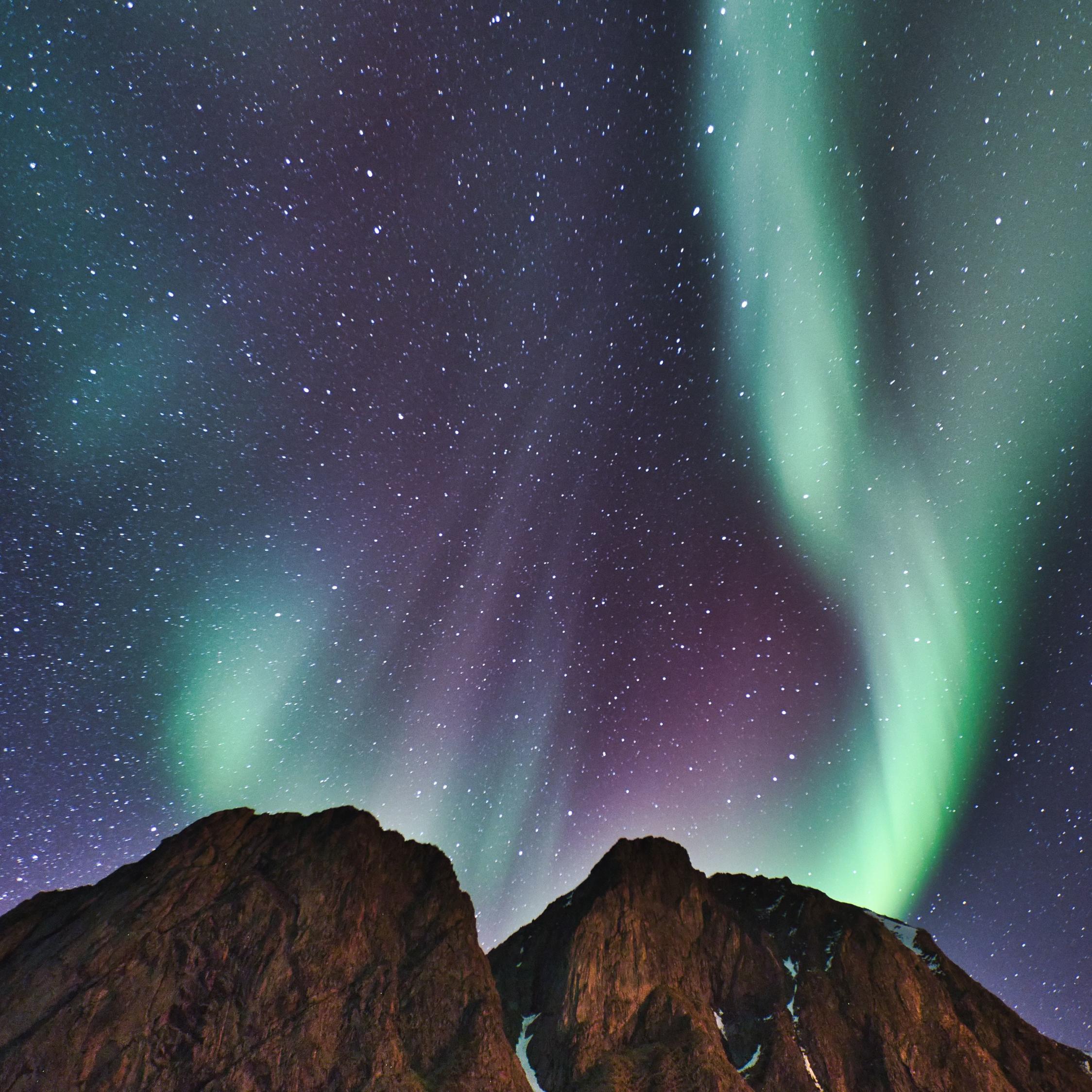 2248x2248 Download 2248x2248 wallpaper green northern lights, mountain, peaks, ipad air, ipad air ipad ipad ipad mini ipad mini 2248x2248 HD image, background, 21882