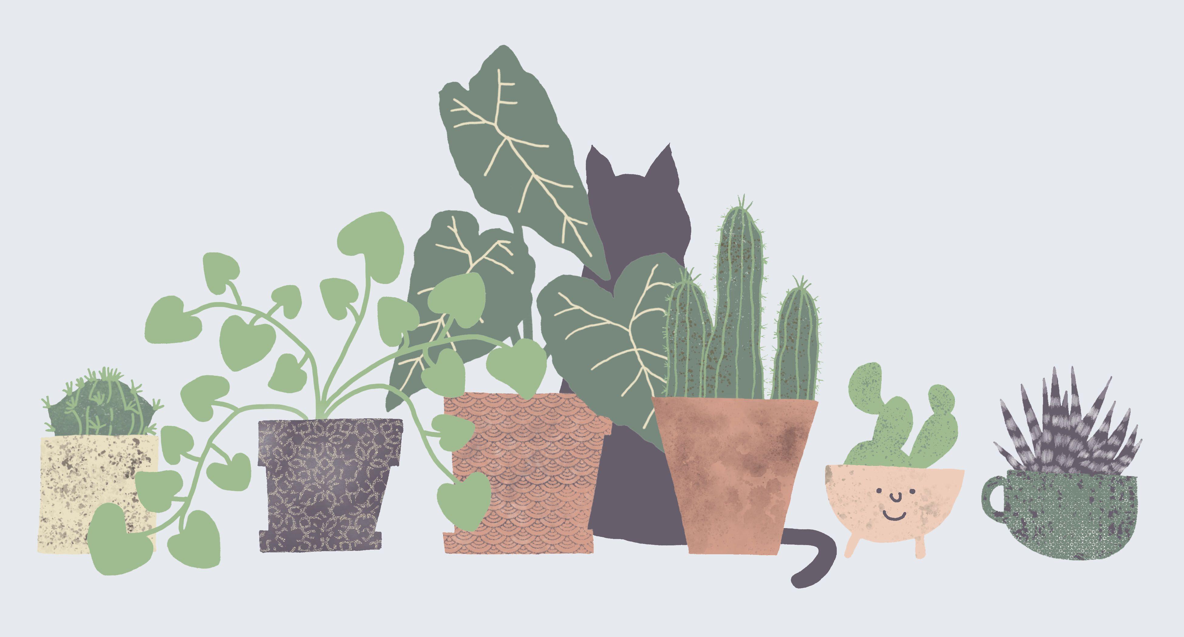 3900x2100 Plants Aesthetic Wallpaper