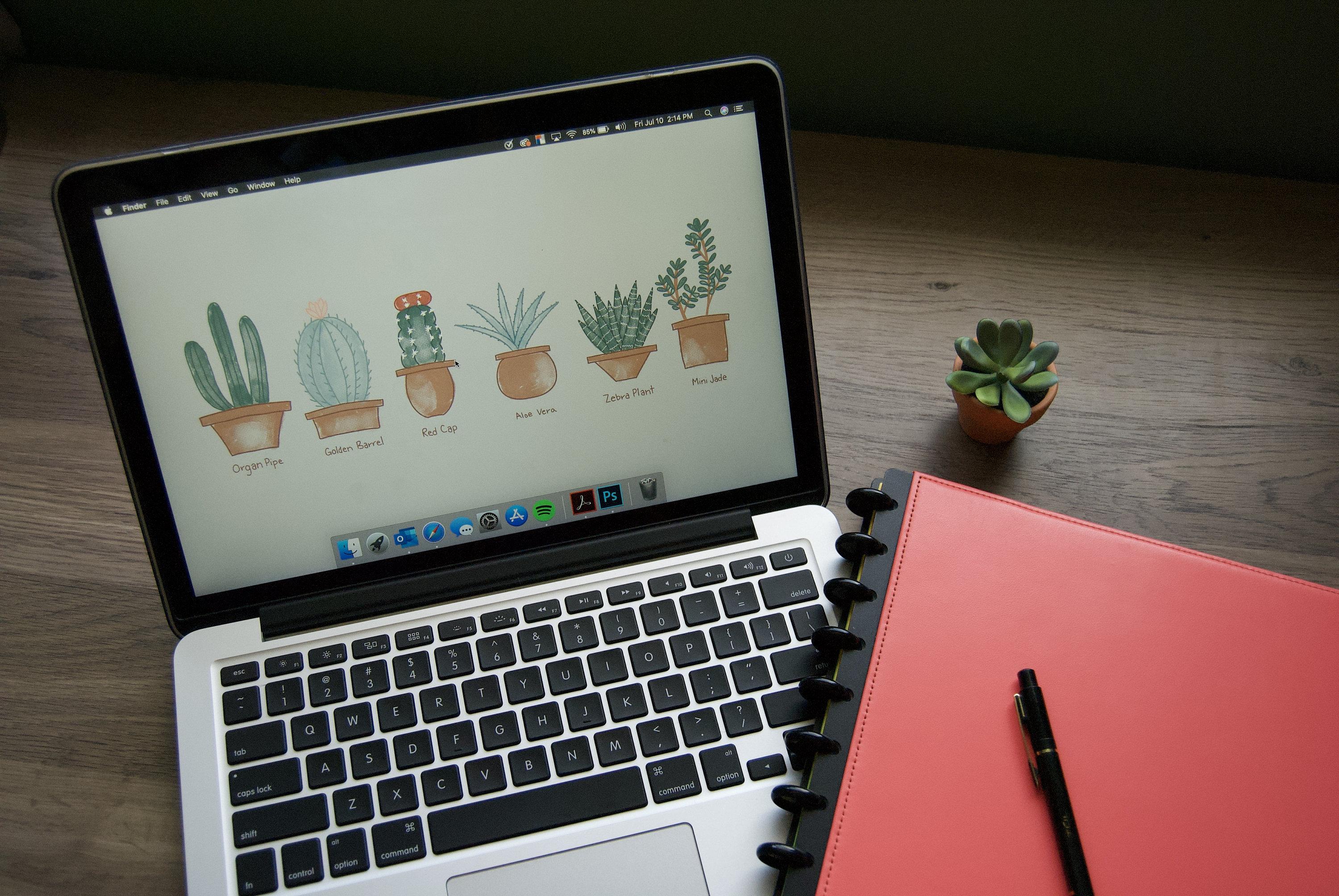 3000x2008 Cactus and Succulent Background High Resolution Desktop