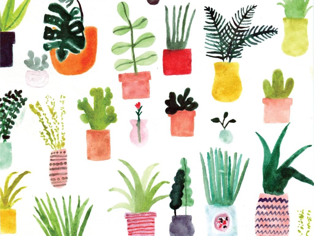 1024x768 Plants by ban.do. Free Spring Desktop Wallpaper. Tech Photo 5