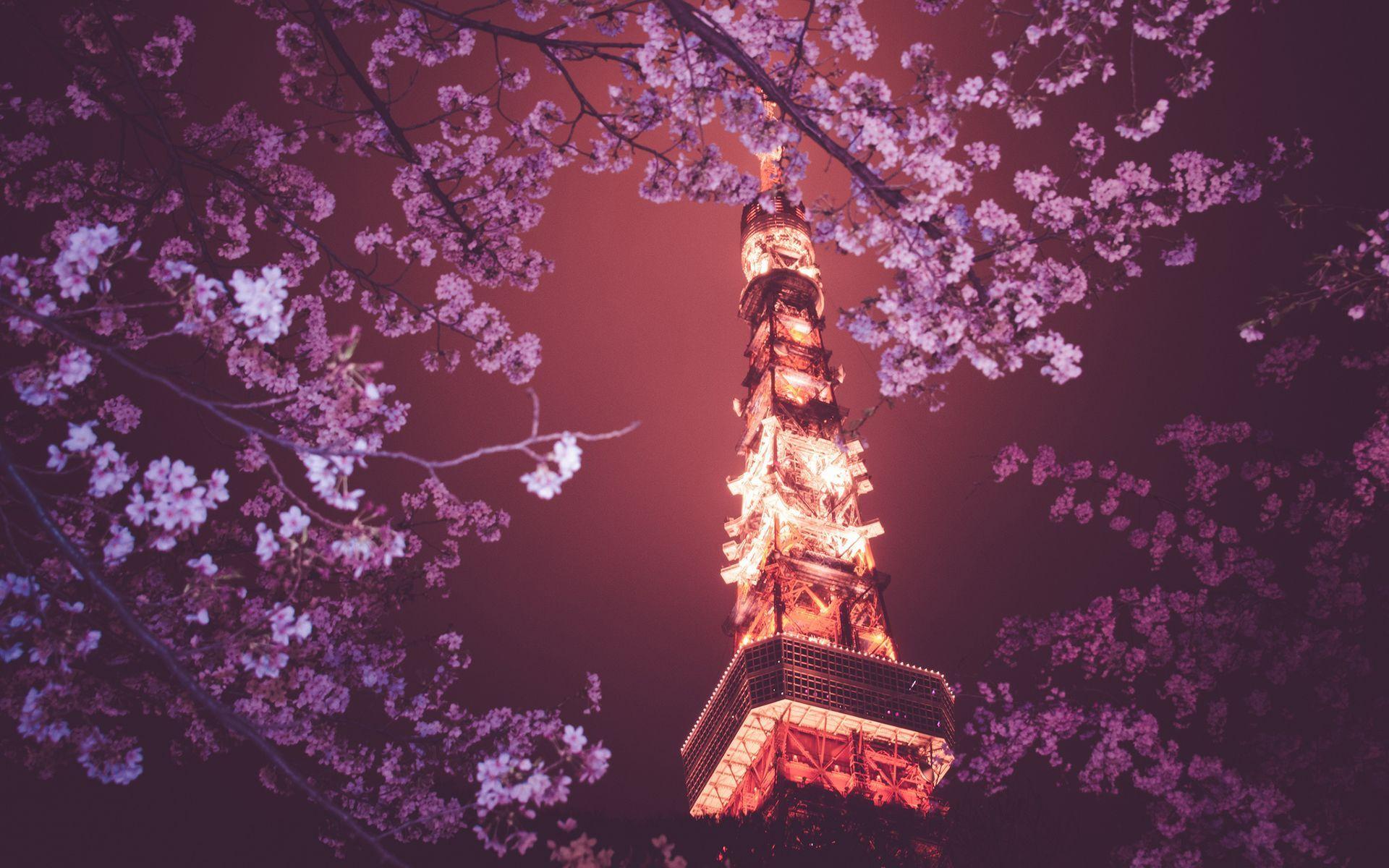 1920x1200 Stunning Tokyo Wallpaper