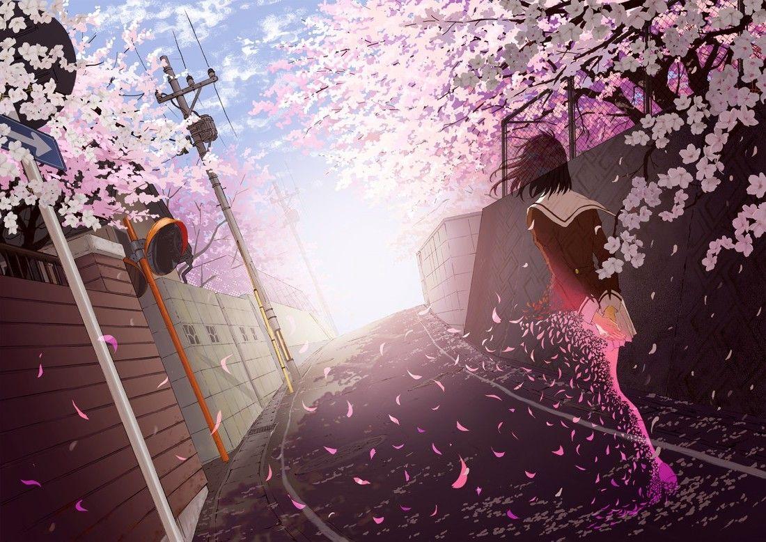 1100x778 anime Girls, School Uniform, Cherry Blossom Wallpaper HD