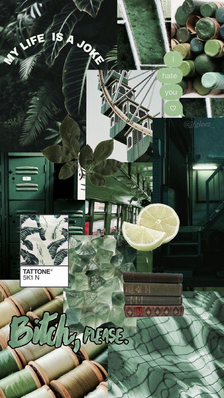 736x1308 Green VSCO Wallpaper