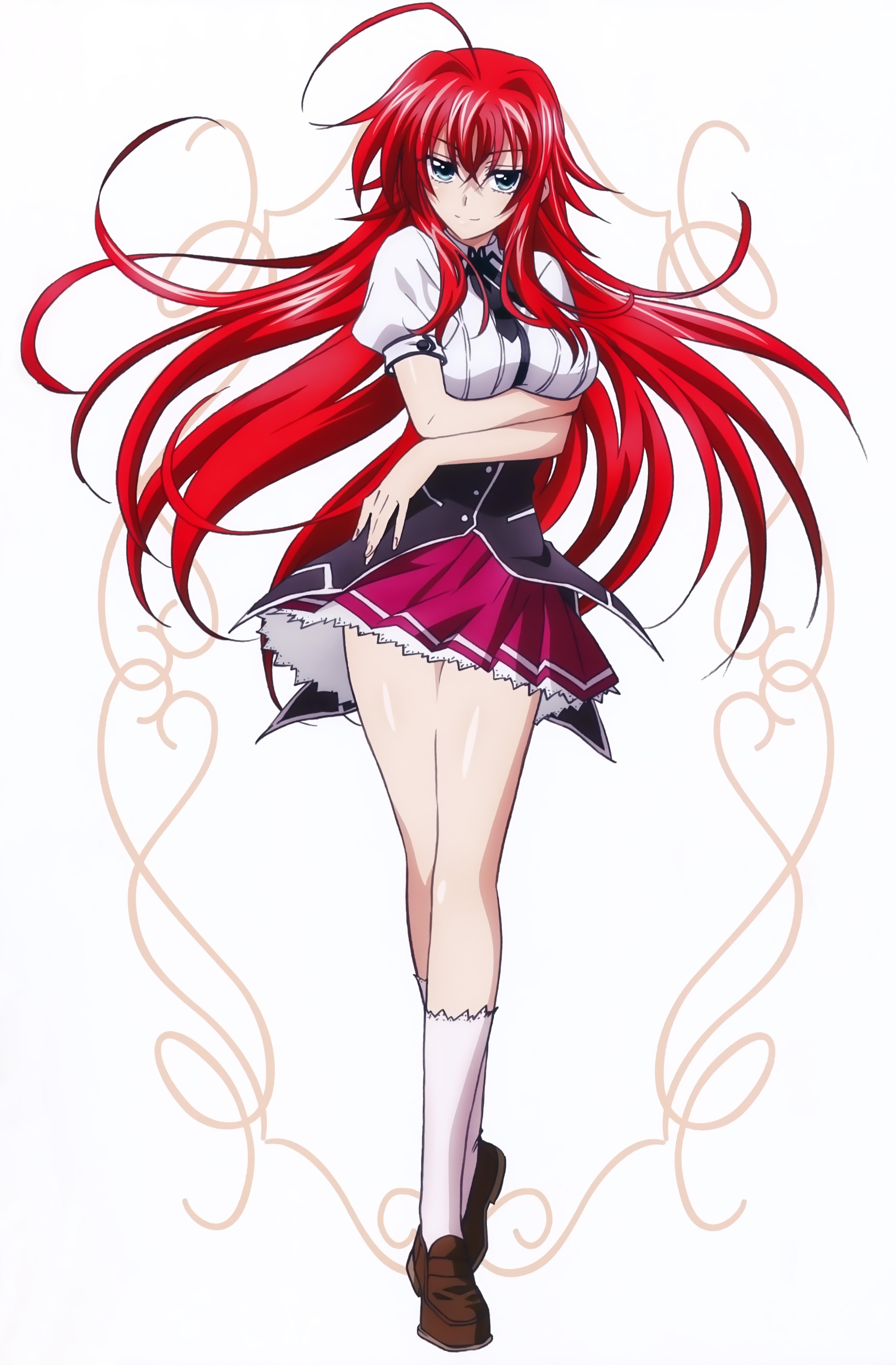 4583x6980 High School DxD (Rias Gremory)