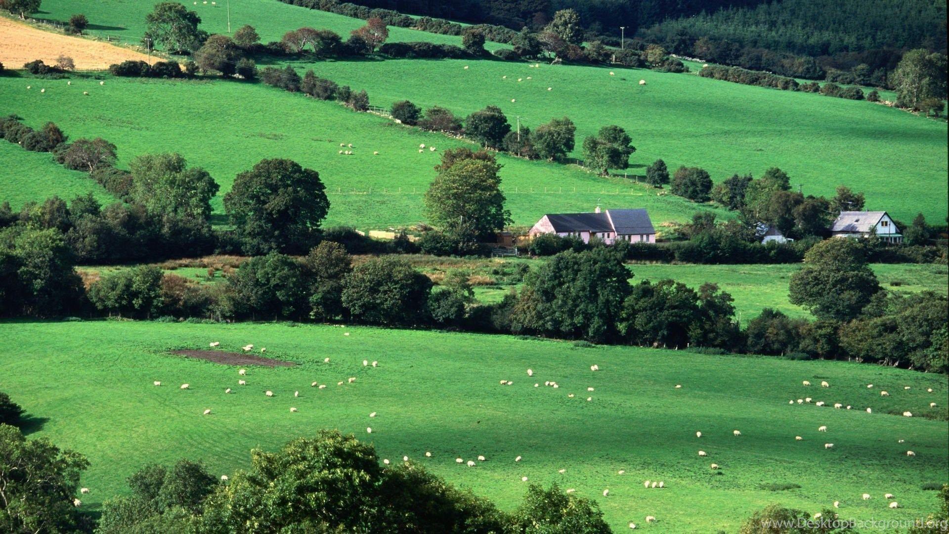 county cork ireland scenery