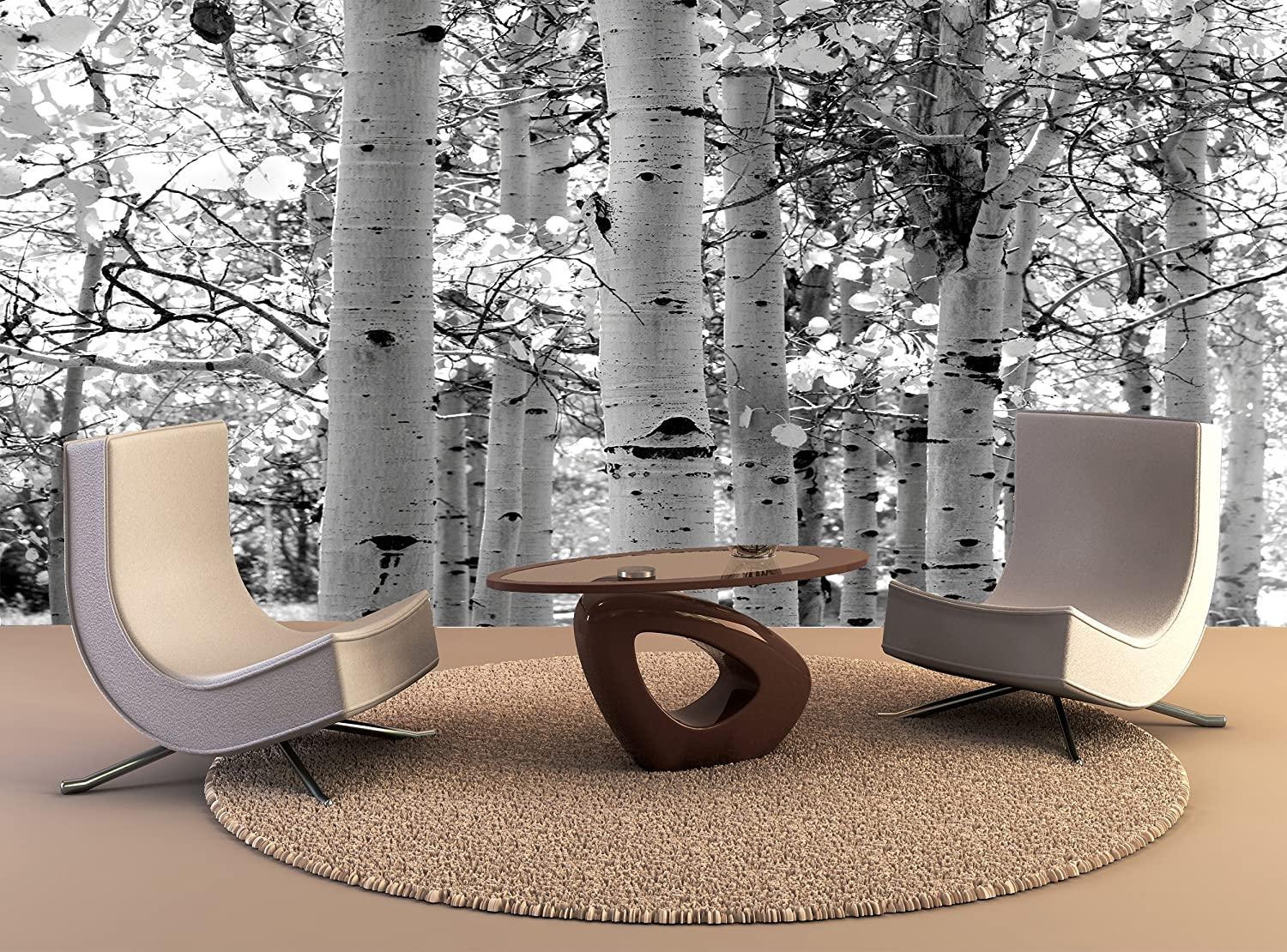 Aspen Trees Wallpapers Top Free Aspen Trees Backgrounds WallpaperAccess