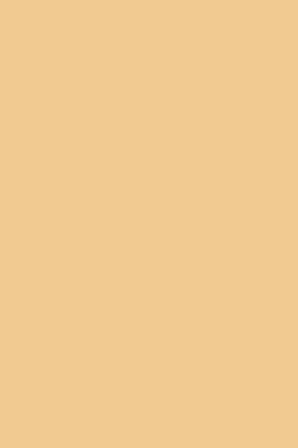 1000x1500 Desert Sand Solid Color Background: Free Download Vector, Image, PNG, PSD Files