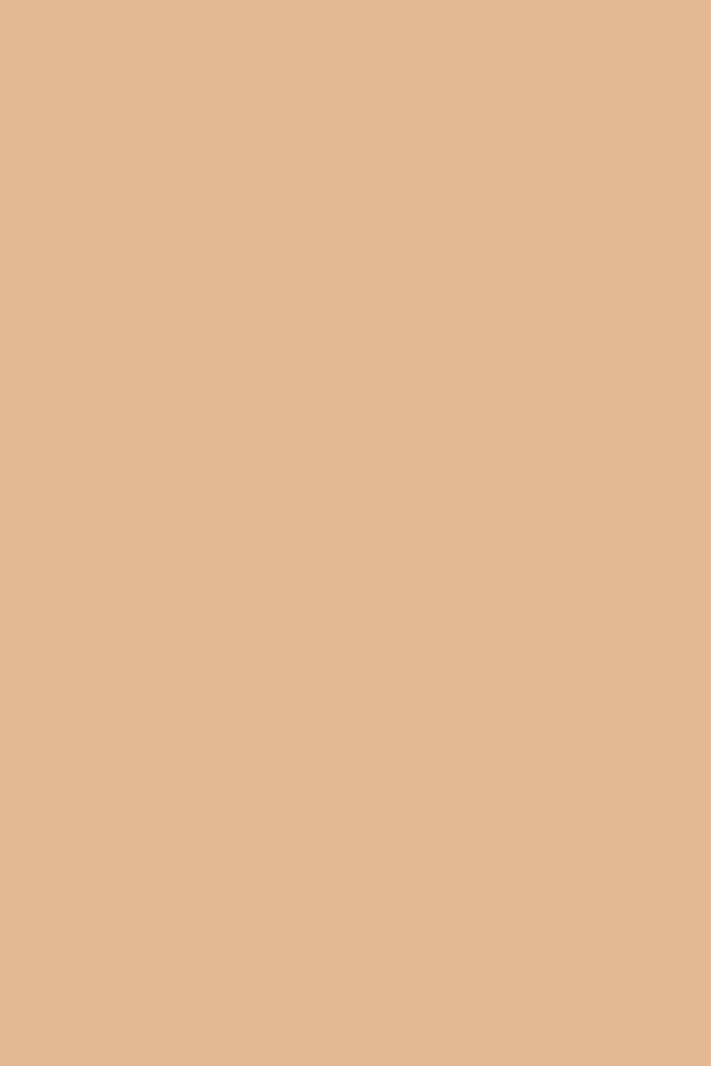 1000x1500 Olympic Reporter Solid Color Background: Free Download Vector, Image, PNG, PSD Files