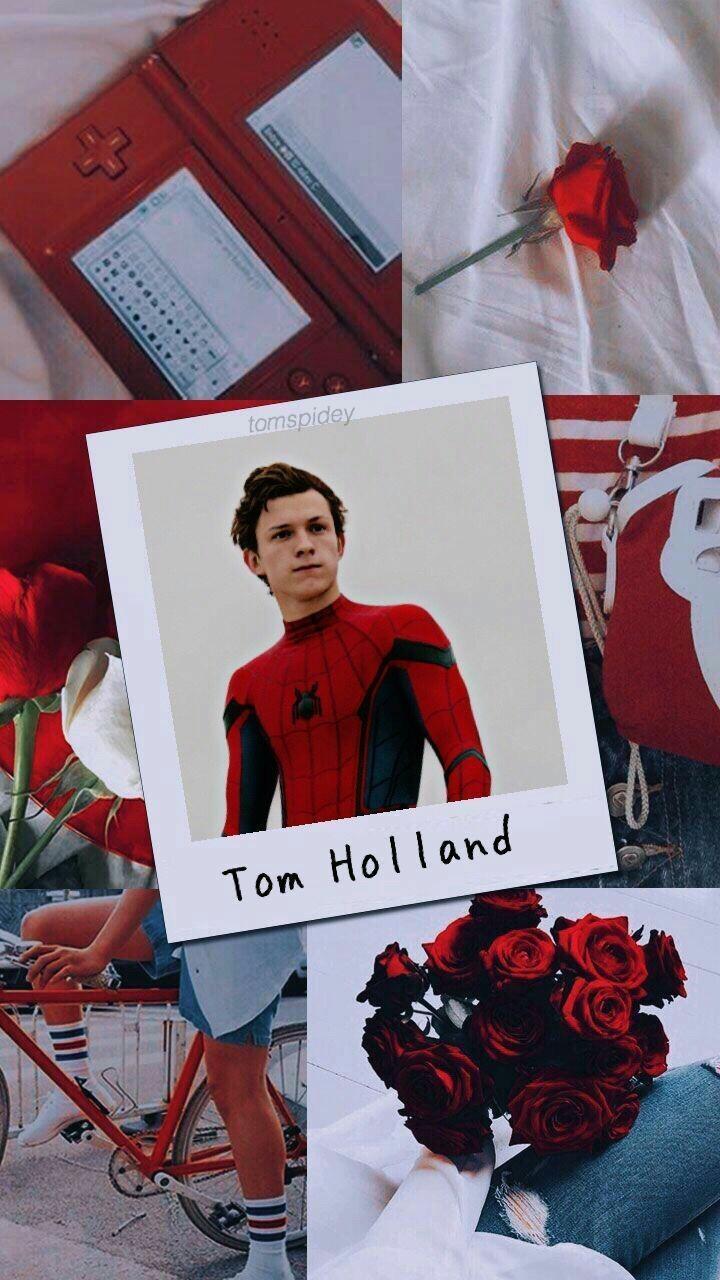 720x1280 Spiderman Aesthetic Wallpaper Tom Holland