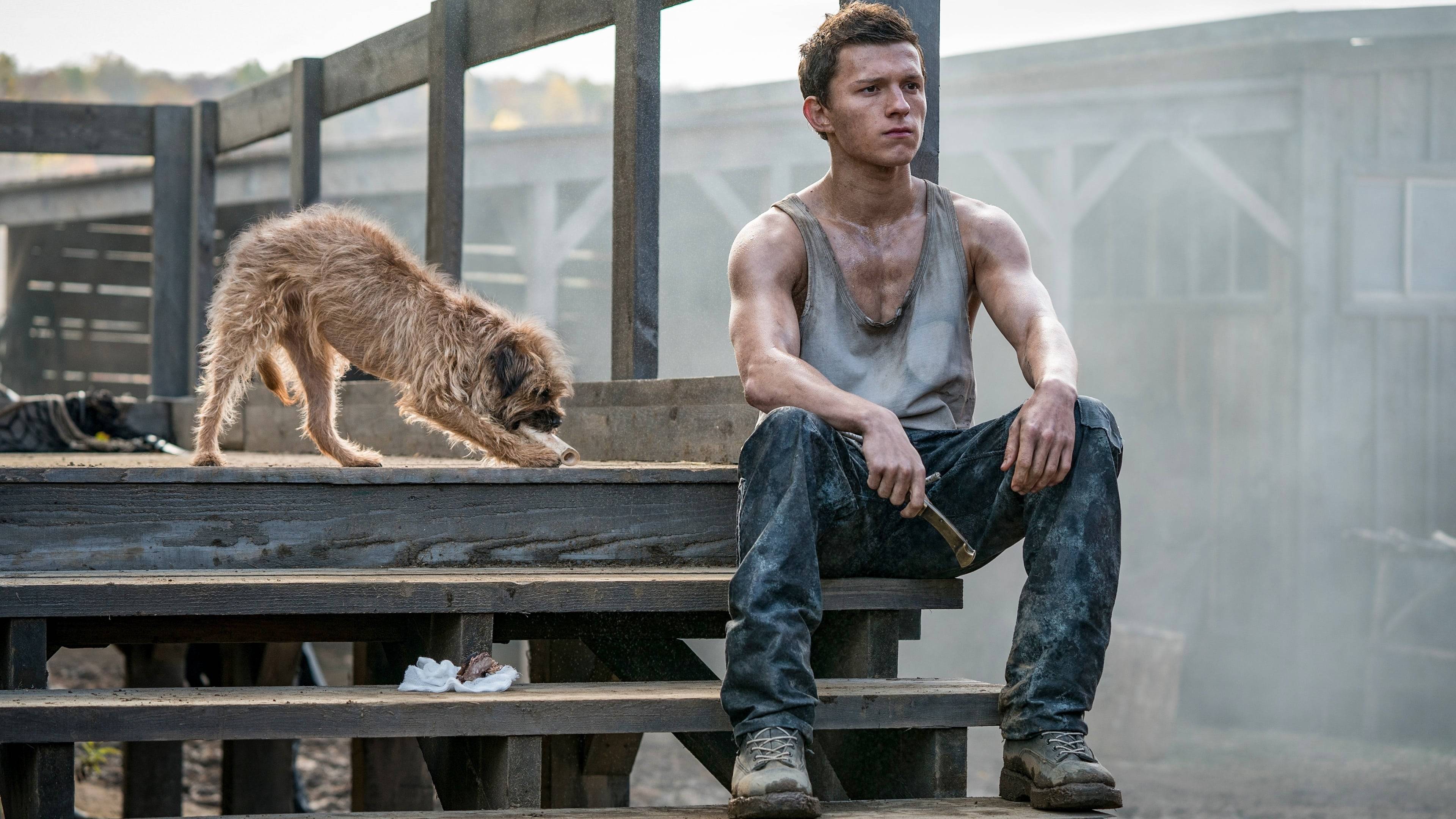3840x2160 Tom Holland in Chaos Walking Wallpaper, HD Movies 4K Wallpaper, Image, Photo and Background