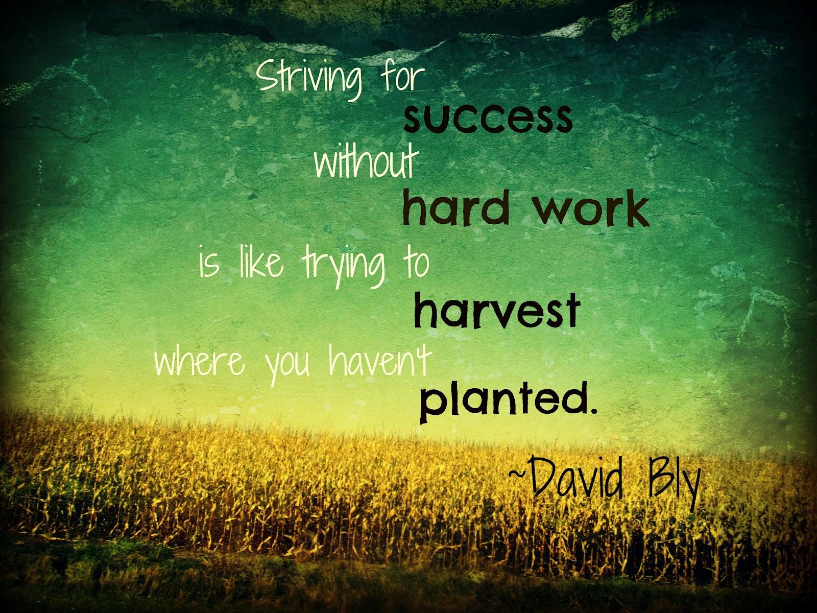1600x1200 Funny Quotes About Social Work. QuotesGram