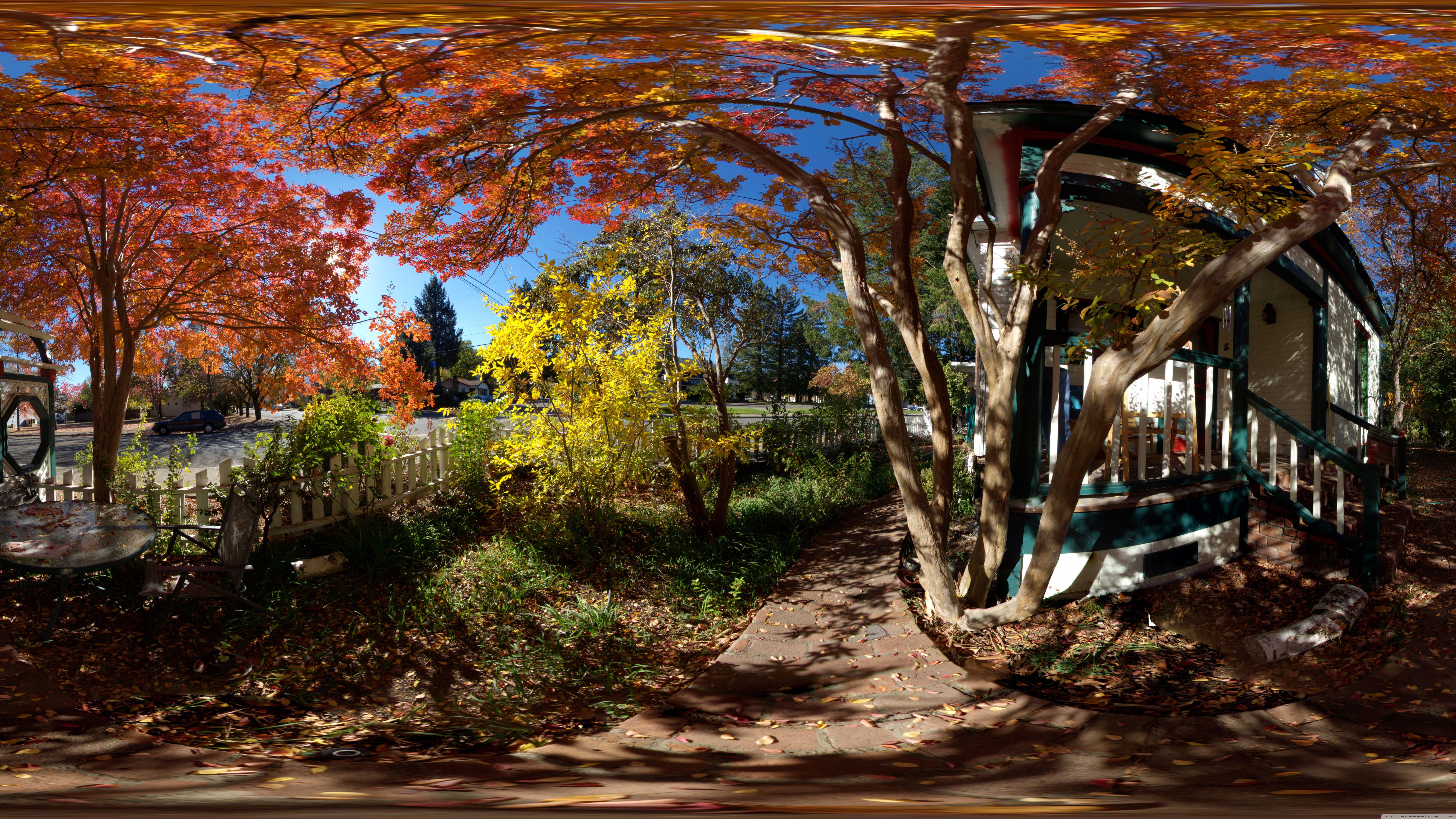 7680x4320 Fall Colors, Ukiah ❤ 4K HD Desktop Wallpaper for 4K Ultra HD TV