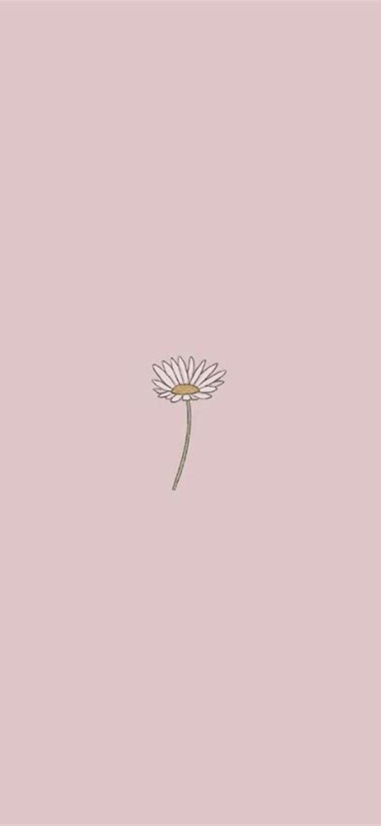 1284x2778 Best Simple Aesthetic HD 2021 picture in 2021 iPhone Wallpaper Free Download
