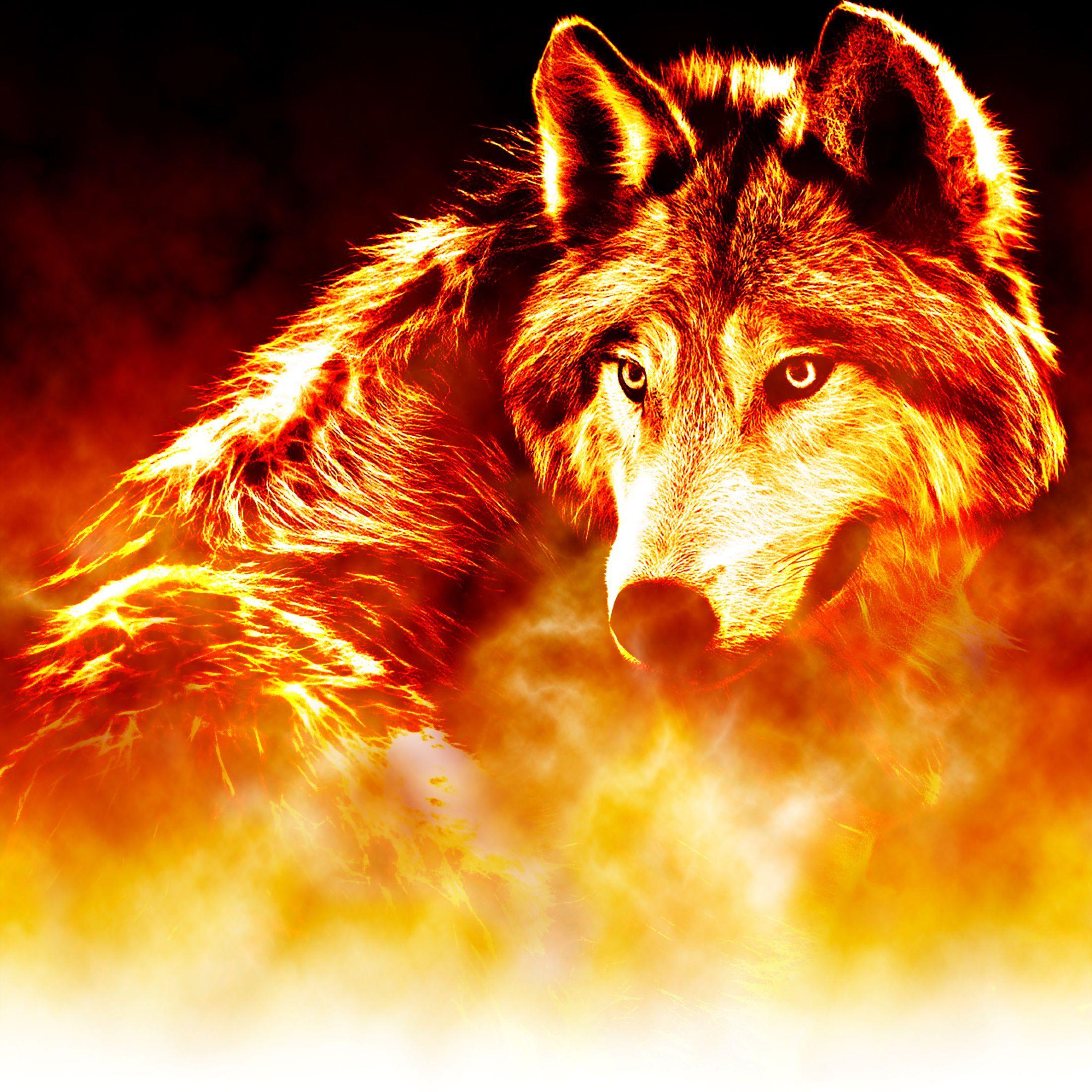 2200x2200 Flame Wolf Wallpaper