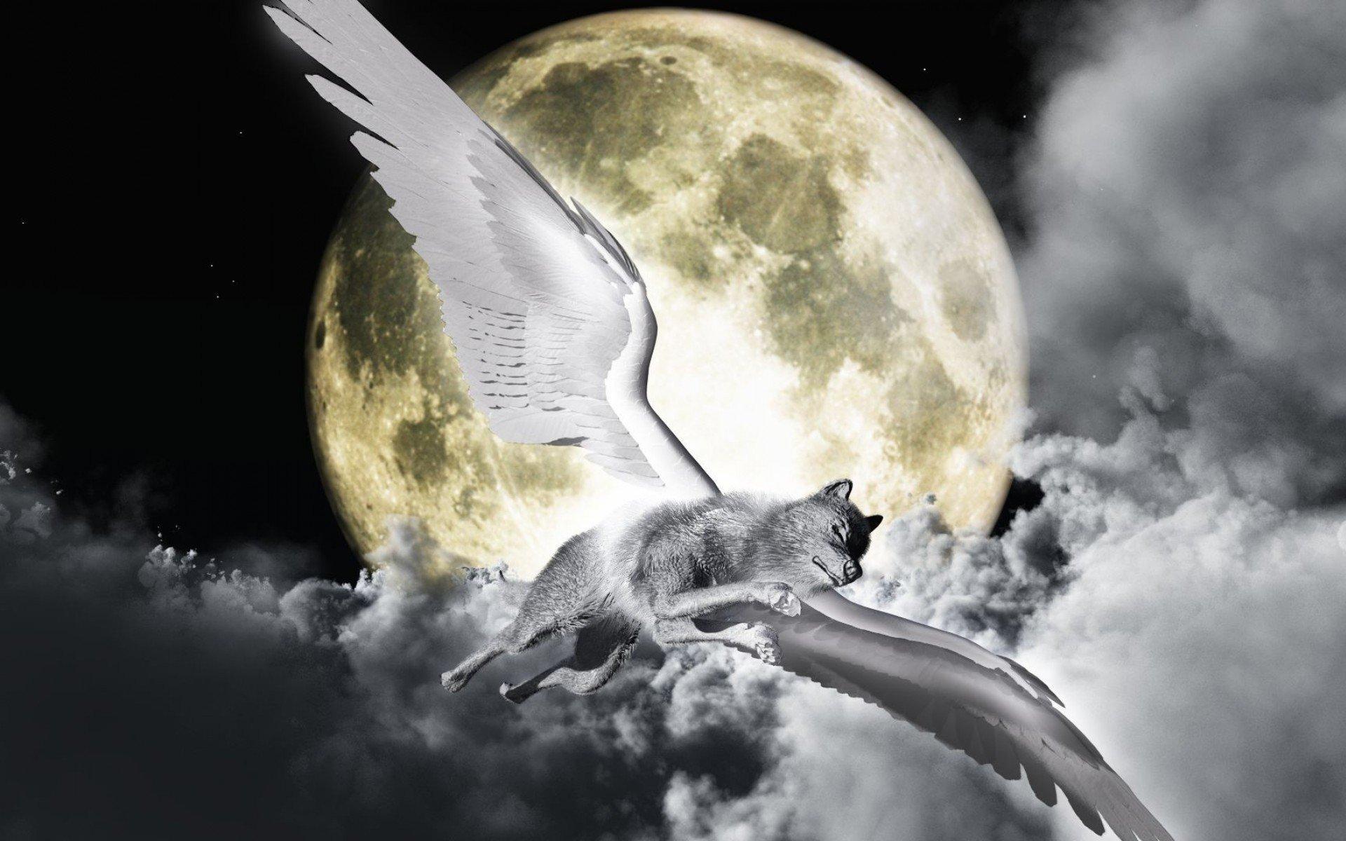 1920x1200 Wolf With Wings Wallpaper