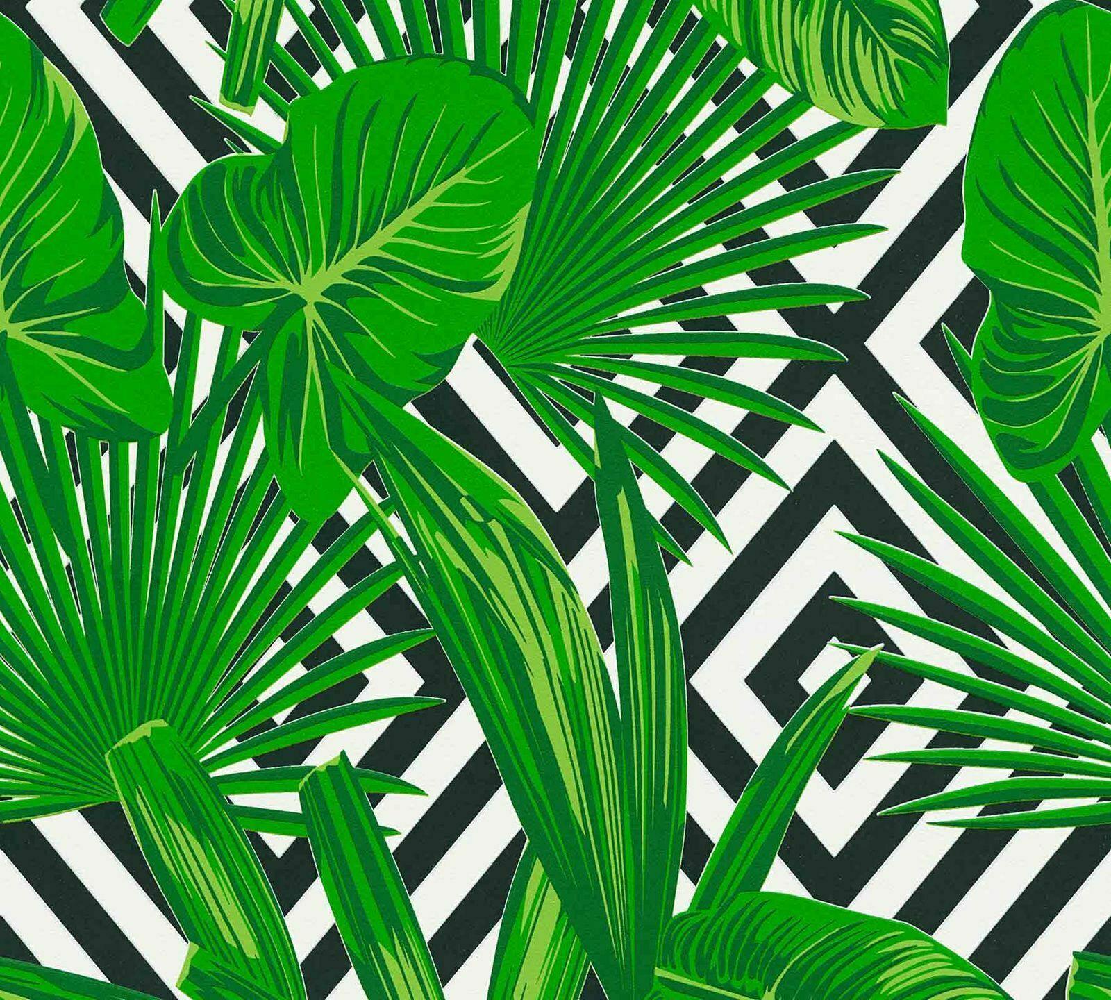 1600x1440 Palm Leaf Wallpaper, HD Palm Leaf Background